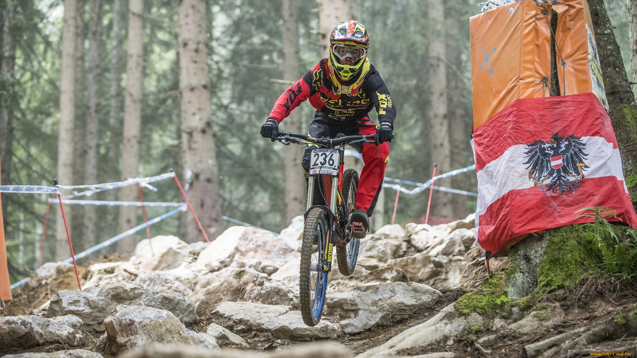 спорт, велоспорт, велосипед, гонка