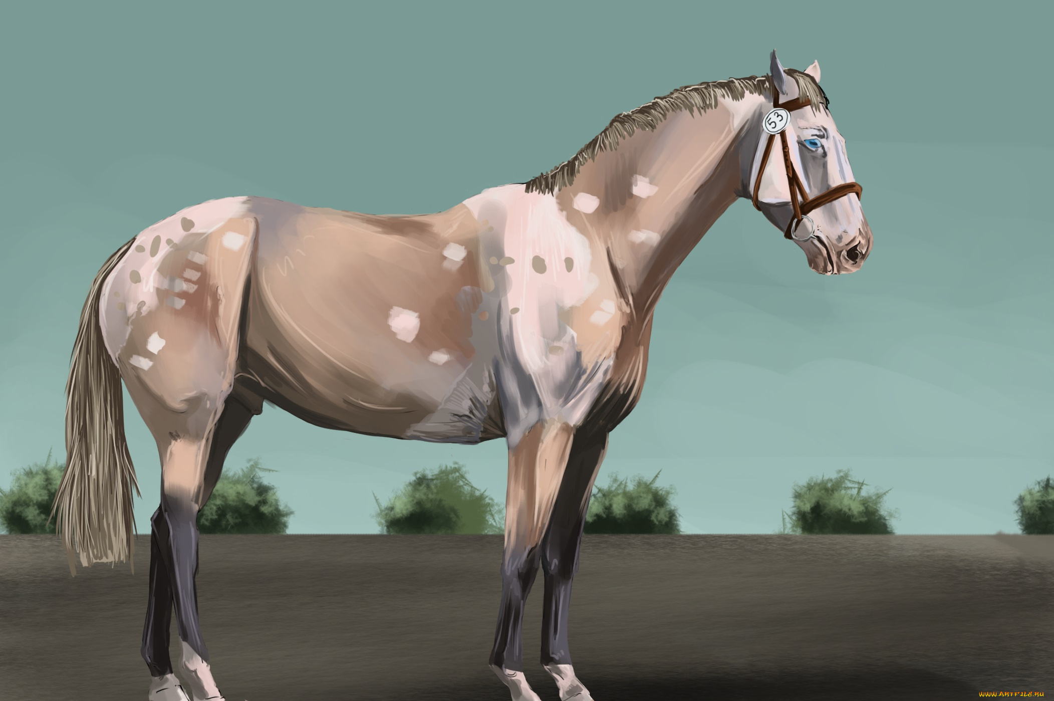 рисованные, животные, лошади, лошадь