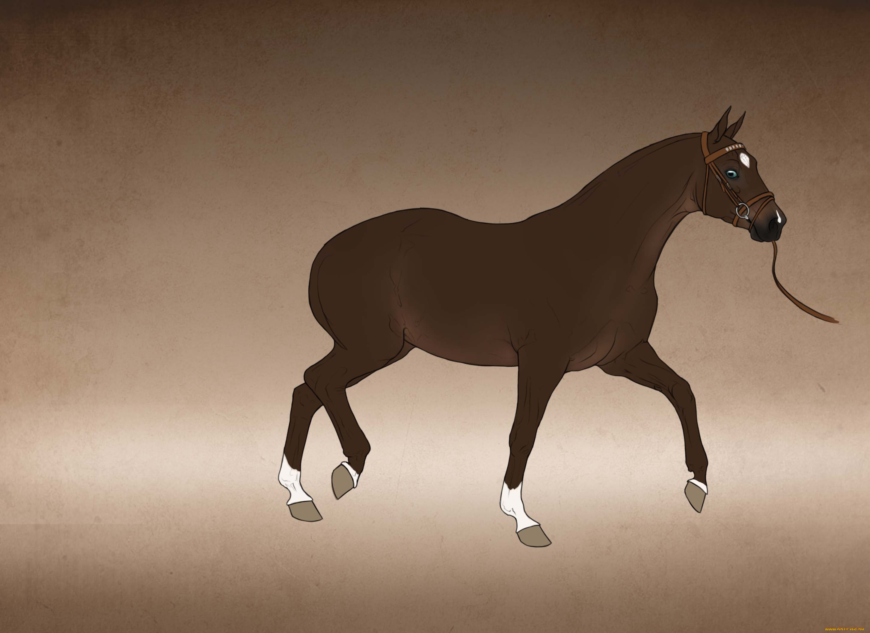 рисованные, животные, лошади, лошадь