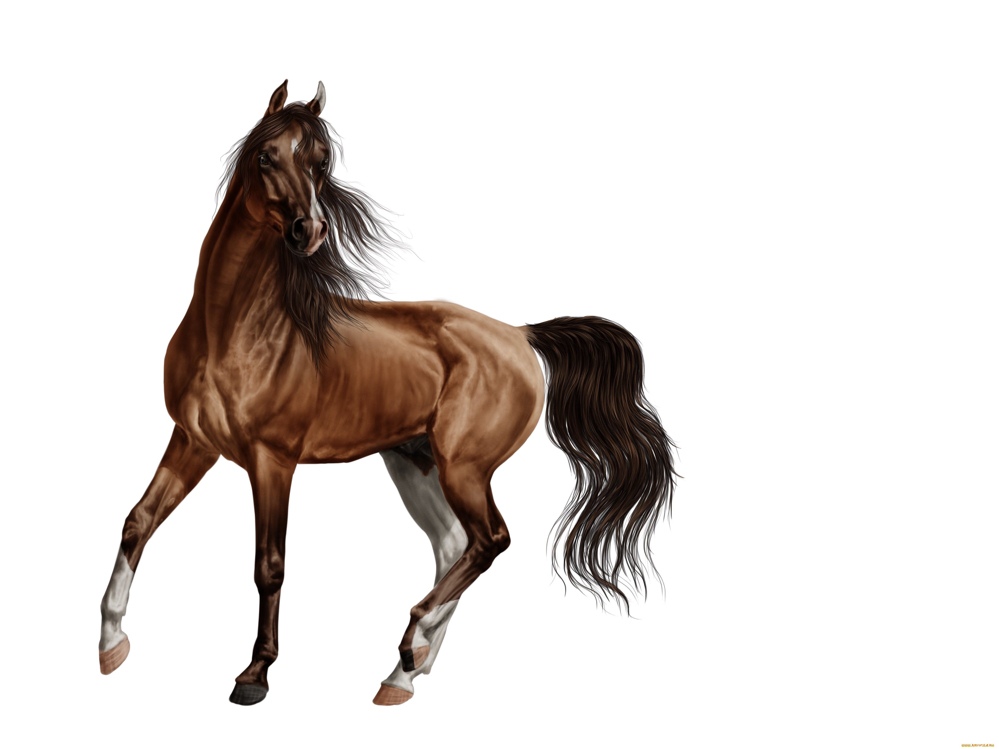 рисованные, животные, лошади, лошадь