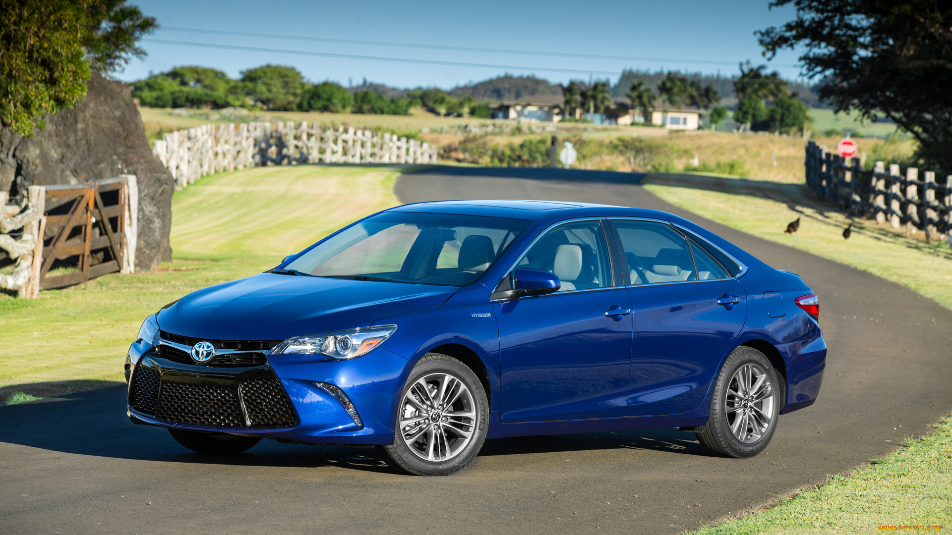 автомобили, toyota, camry, 2015г, синий, hybrid, se