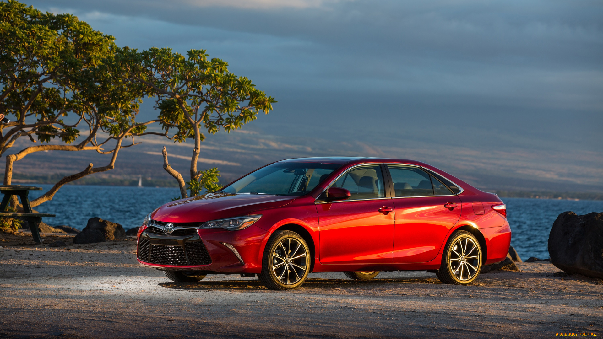 автомобили, toyota, красный, xse, camry, 2015, г