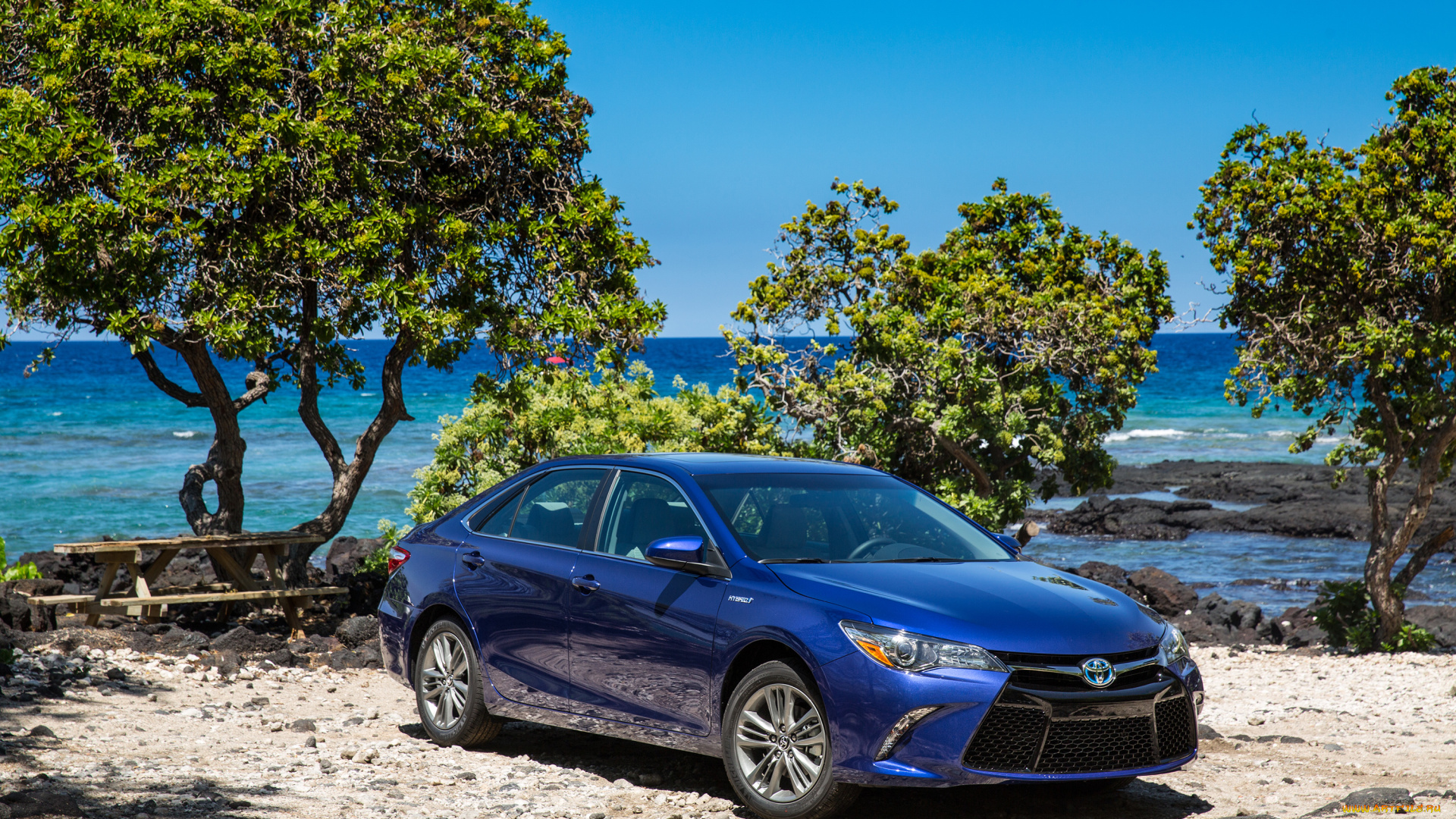 автомобили, toyota, синий, hybrid, se, camry, 2015г