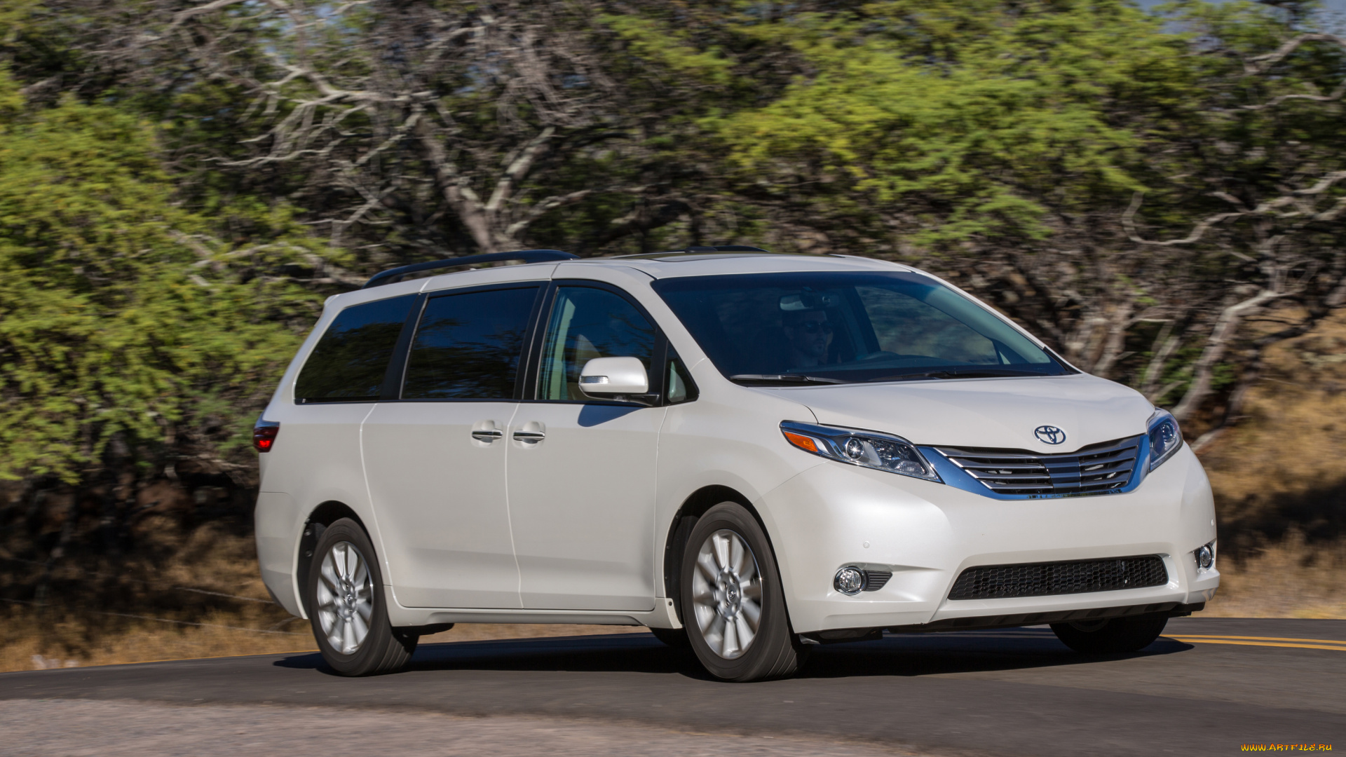 автомобили, toyota, светлый, sienna, 2015г