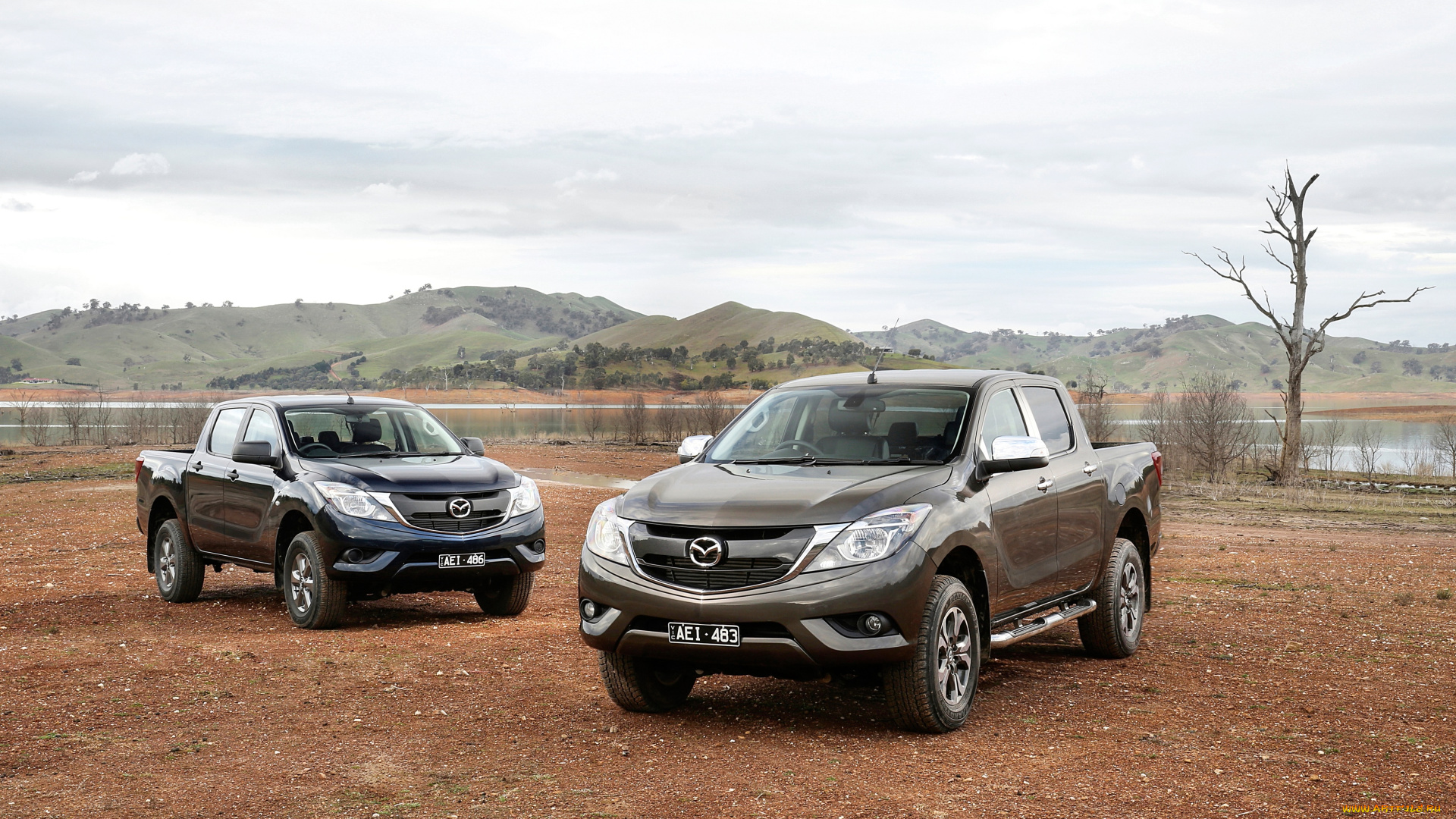 автомобили, mazda, bt-50