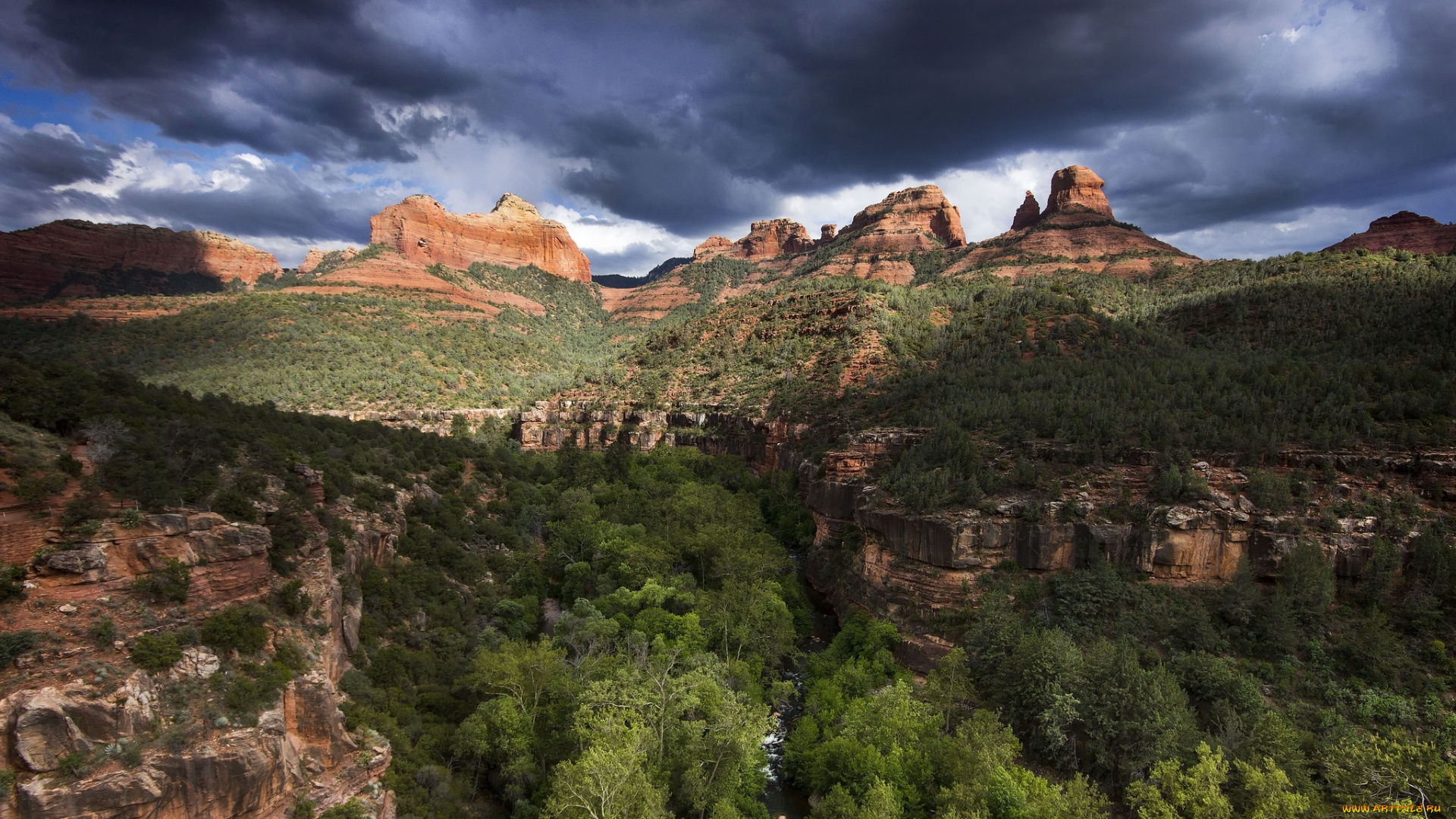 природа, горы, плато, ущелье, лес