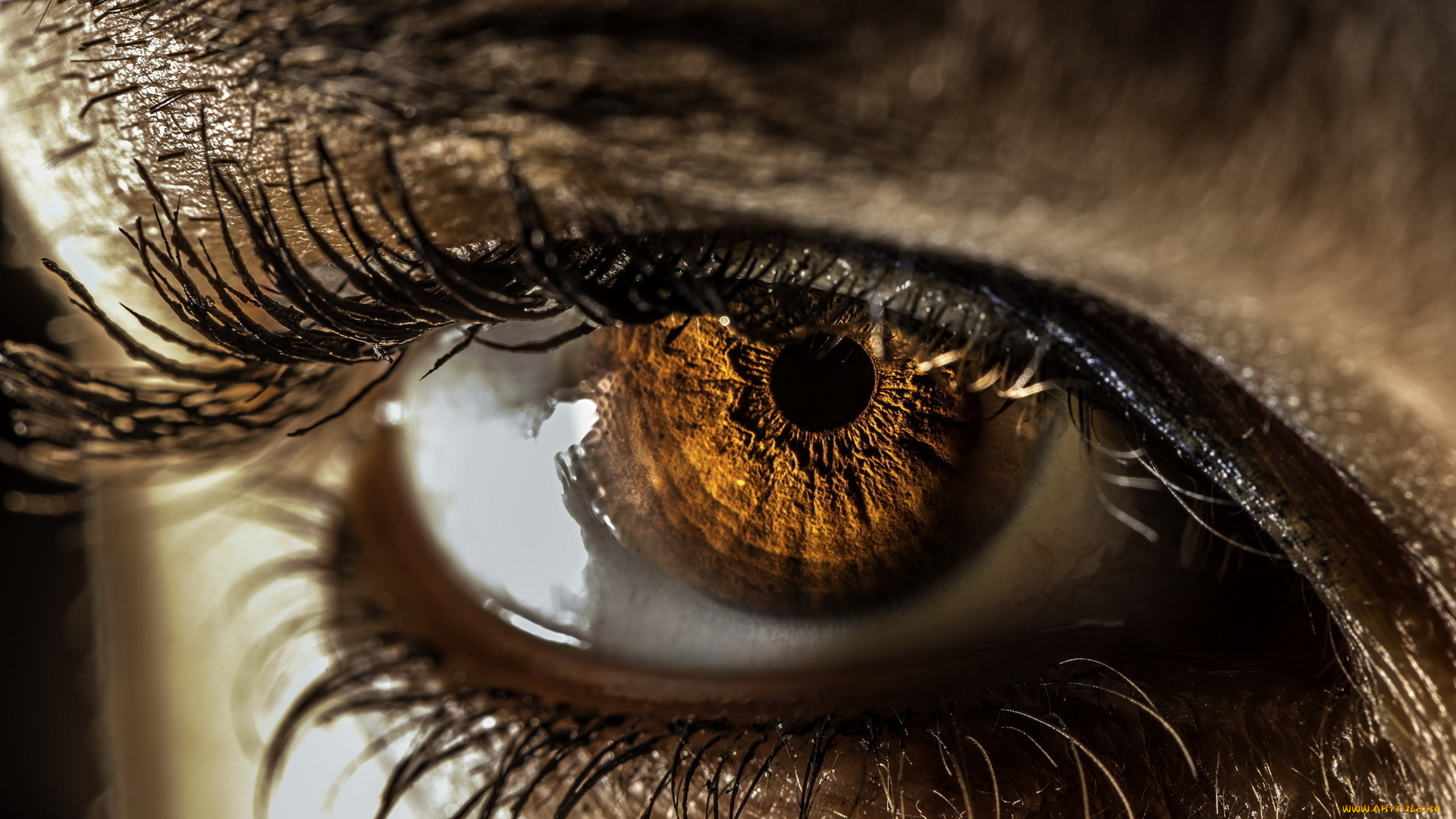 разное, глаза, pupil, iris, eyelash, eye