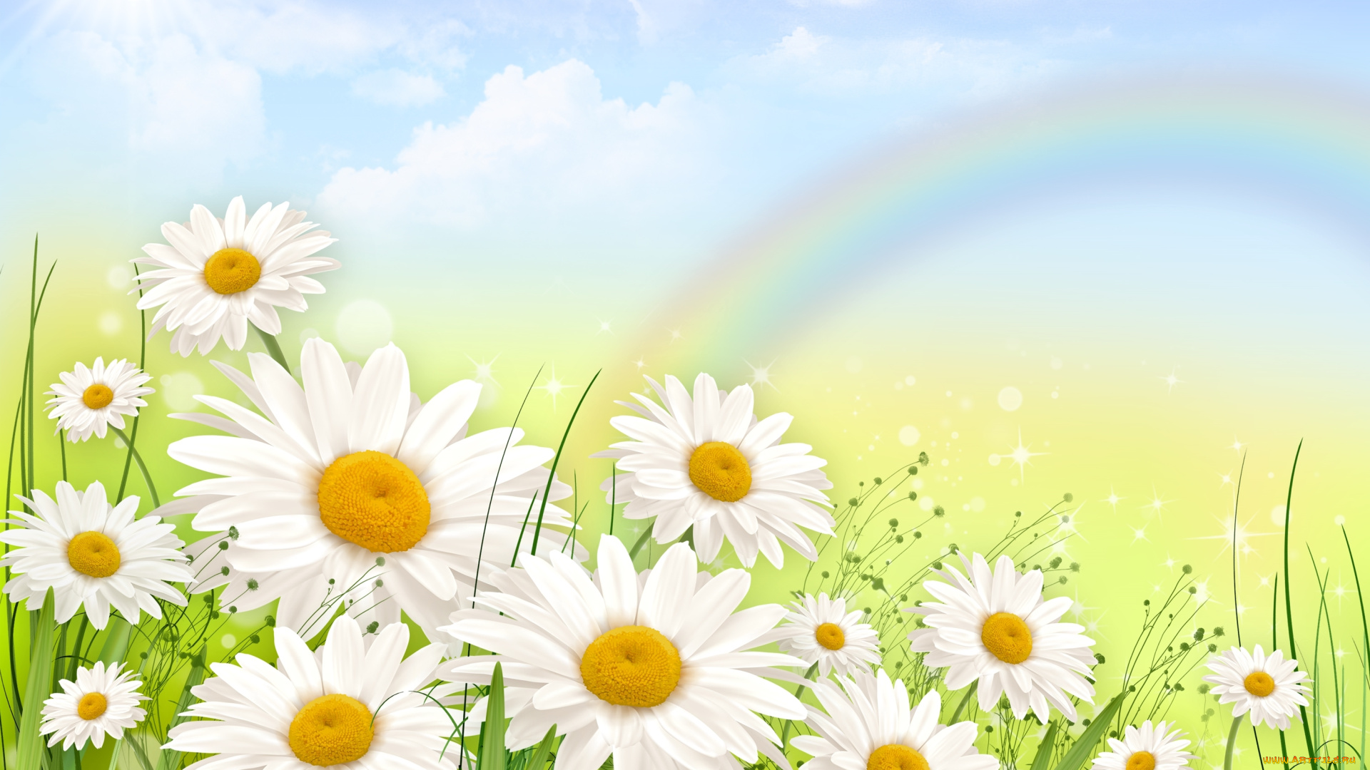 разное, компьютерный, дизайн, рисунок, радуга, трава, ромашки