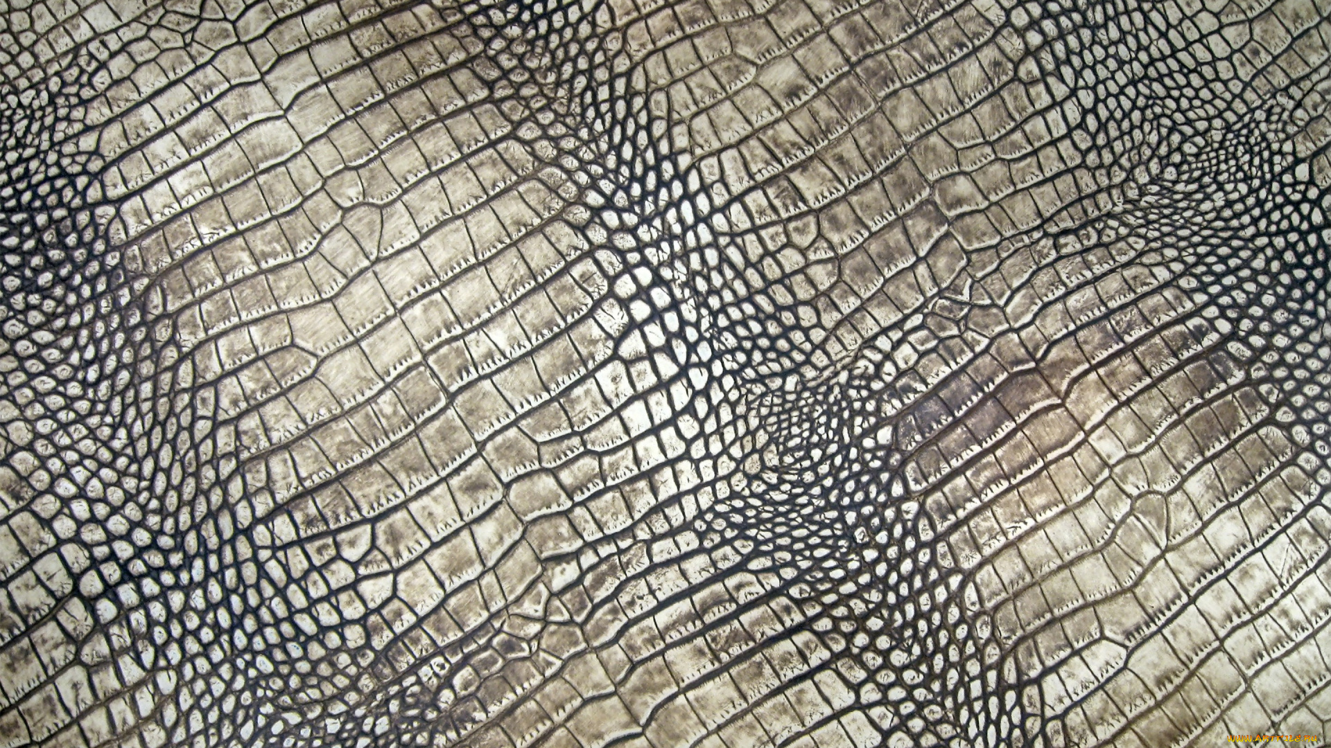разное, текстуры, кожа, crocodile, leather, крокодил, texture, skin