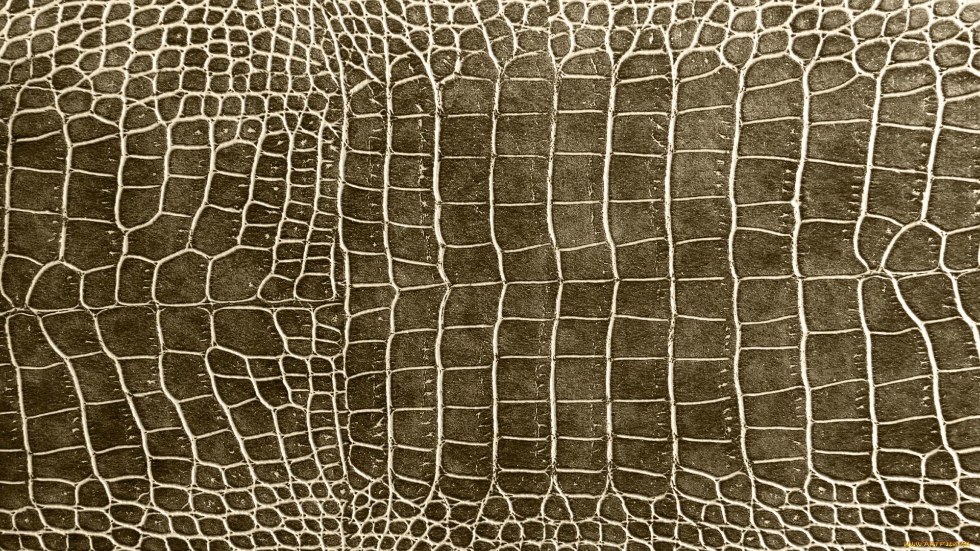 разное, текстуры, кожа, крокодил, texture, crocodile, leather, skin