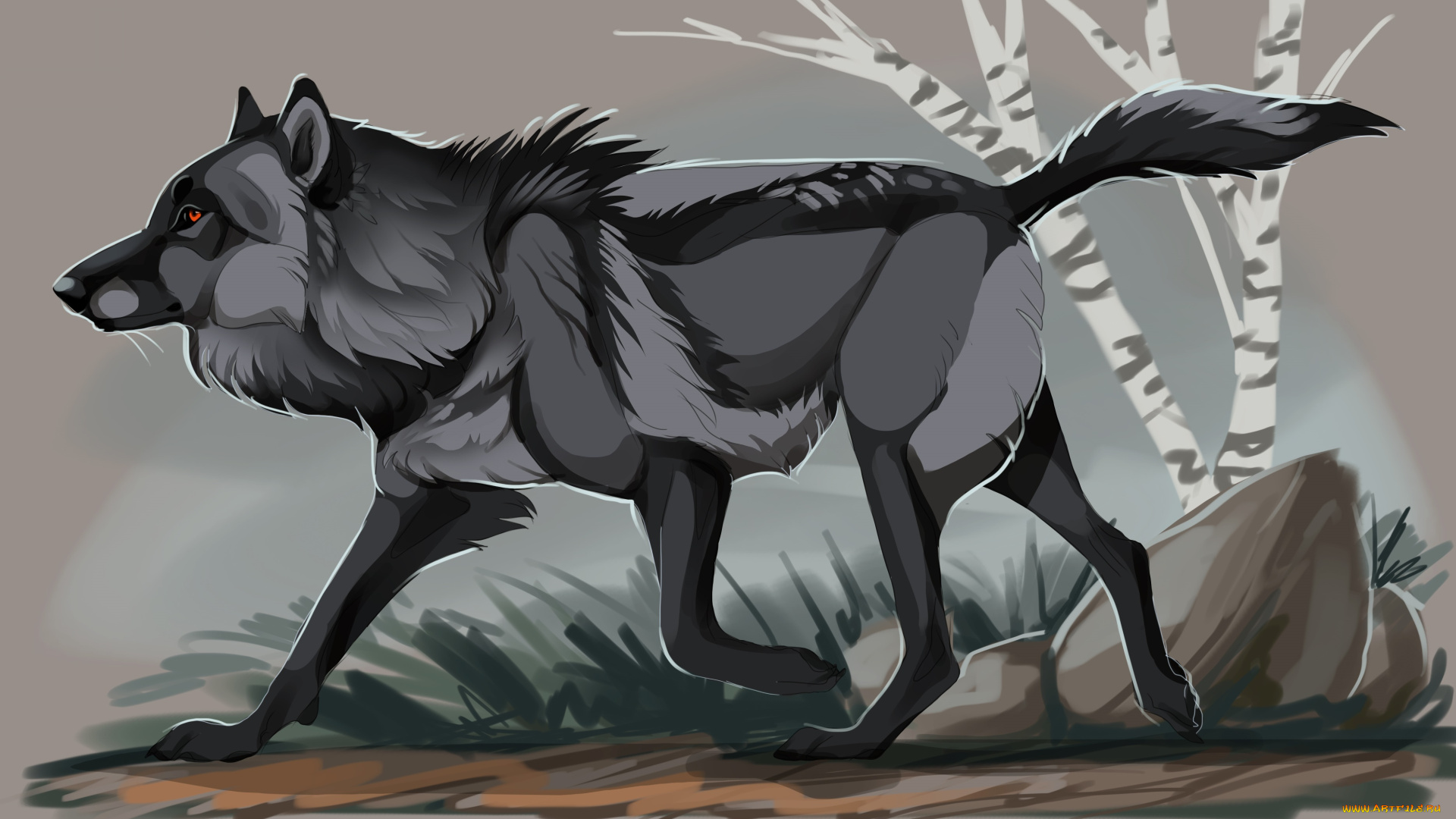 рисованное, животные, , волки, взгляд, волк, фон, береза