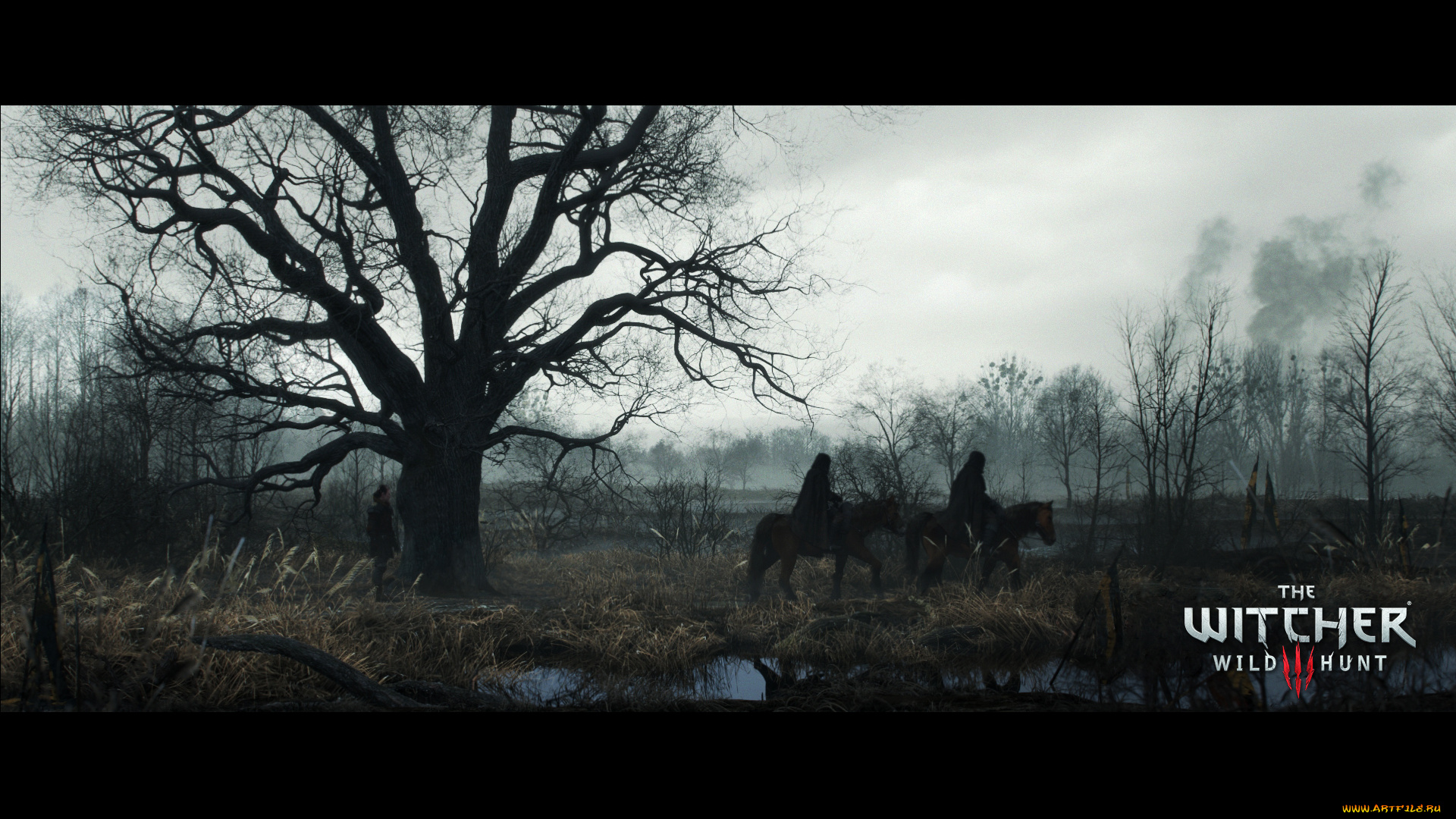 видео, игры, the, witcher, 3, , wild, hunt, wild, hunt, 3, the, witcher, action, фэнтези