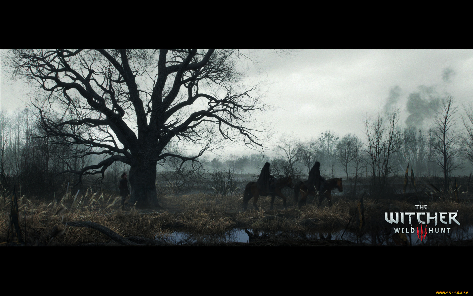 видео, игры, the, witcher, 3, , wild, hunt, wild, hunt, 3, the, witcher, action, фэнтези