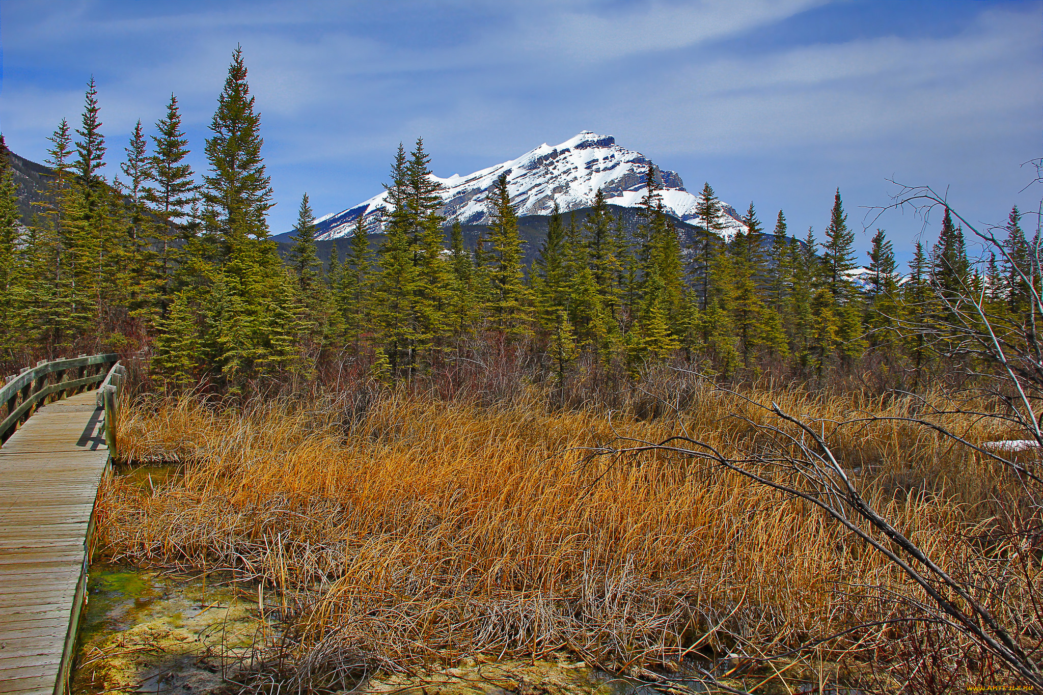 природа, дороги, мостик, лес, горы