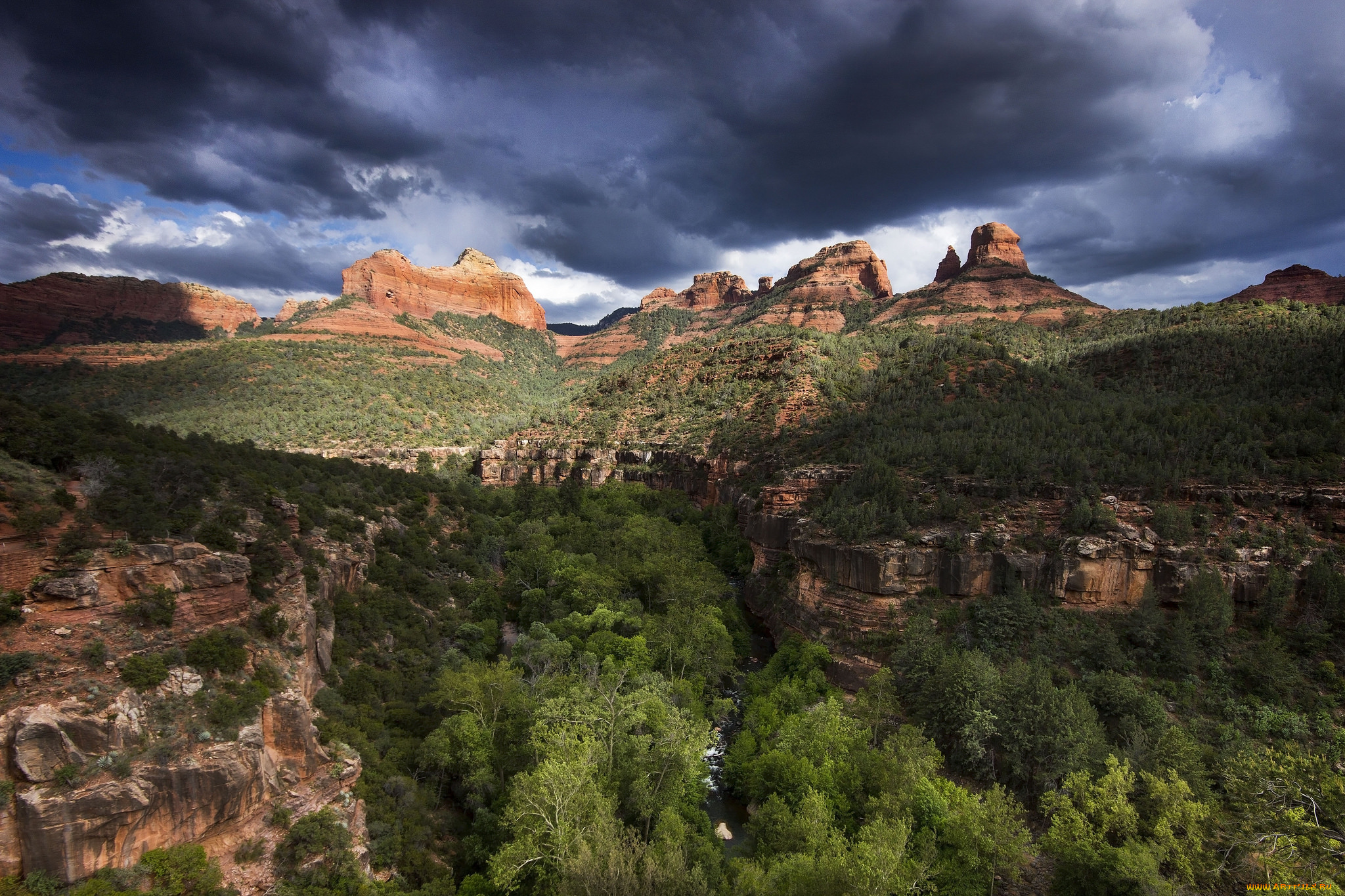 природа, горы, плато, ущелье, лес