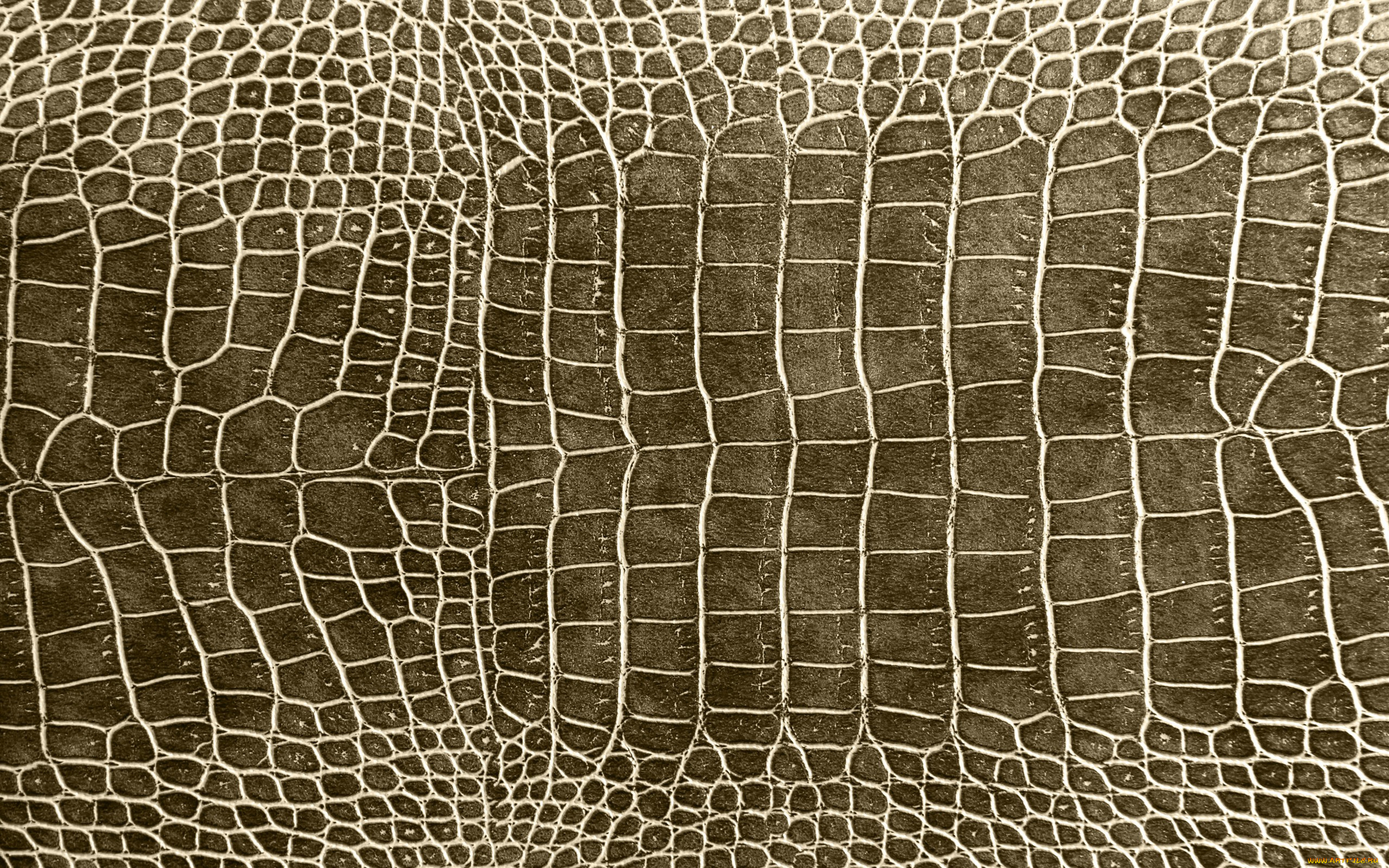 разное, текстуры, кожа, крокодил, texture, crocodile, leather, skin