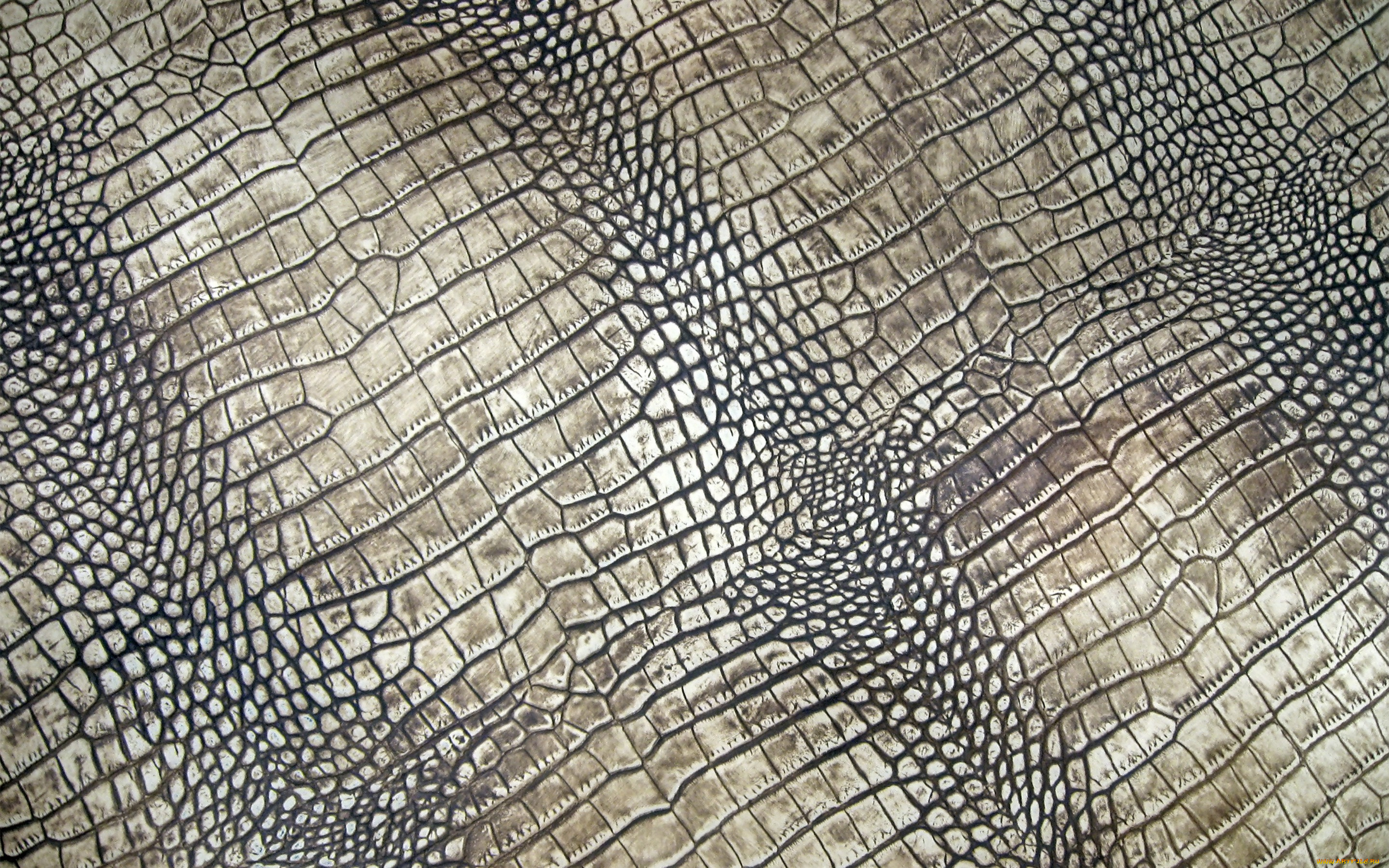 разное, текстуры, кожа, crocodile, leather, крокодил, texture, skin