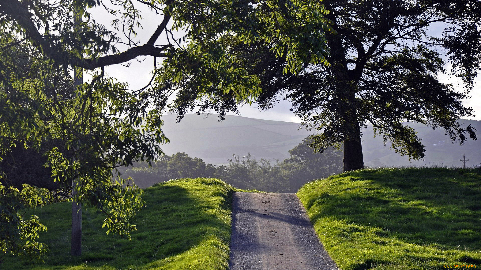 природа, дороги, деревья, трава, гора