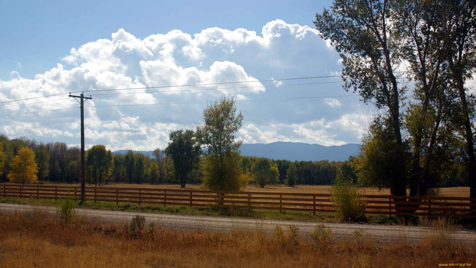 природа, пейзажи, дорога, осень, деревья, изгородь