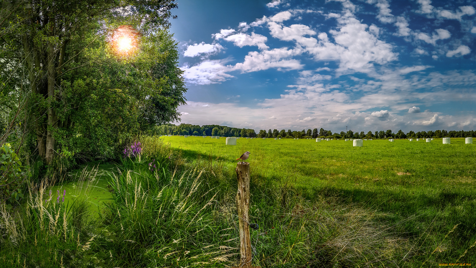 природа, пейзажи, простор