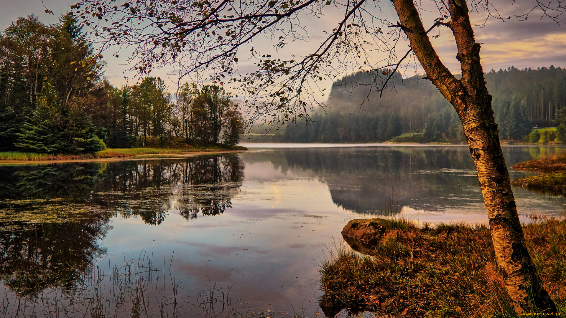 природа, реки, озера, лес, река