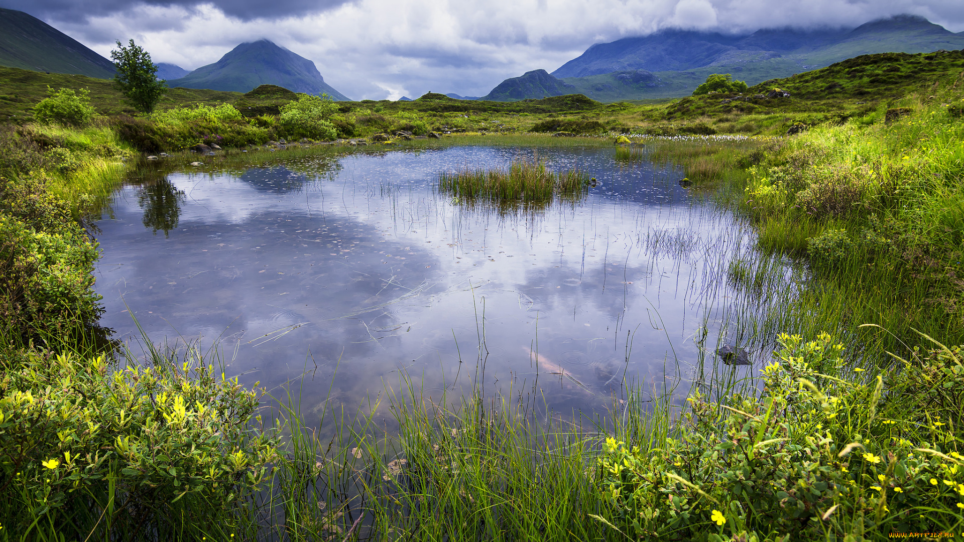 природа, реки, озера, река, лес