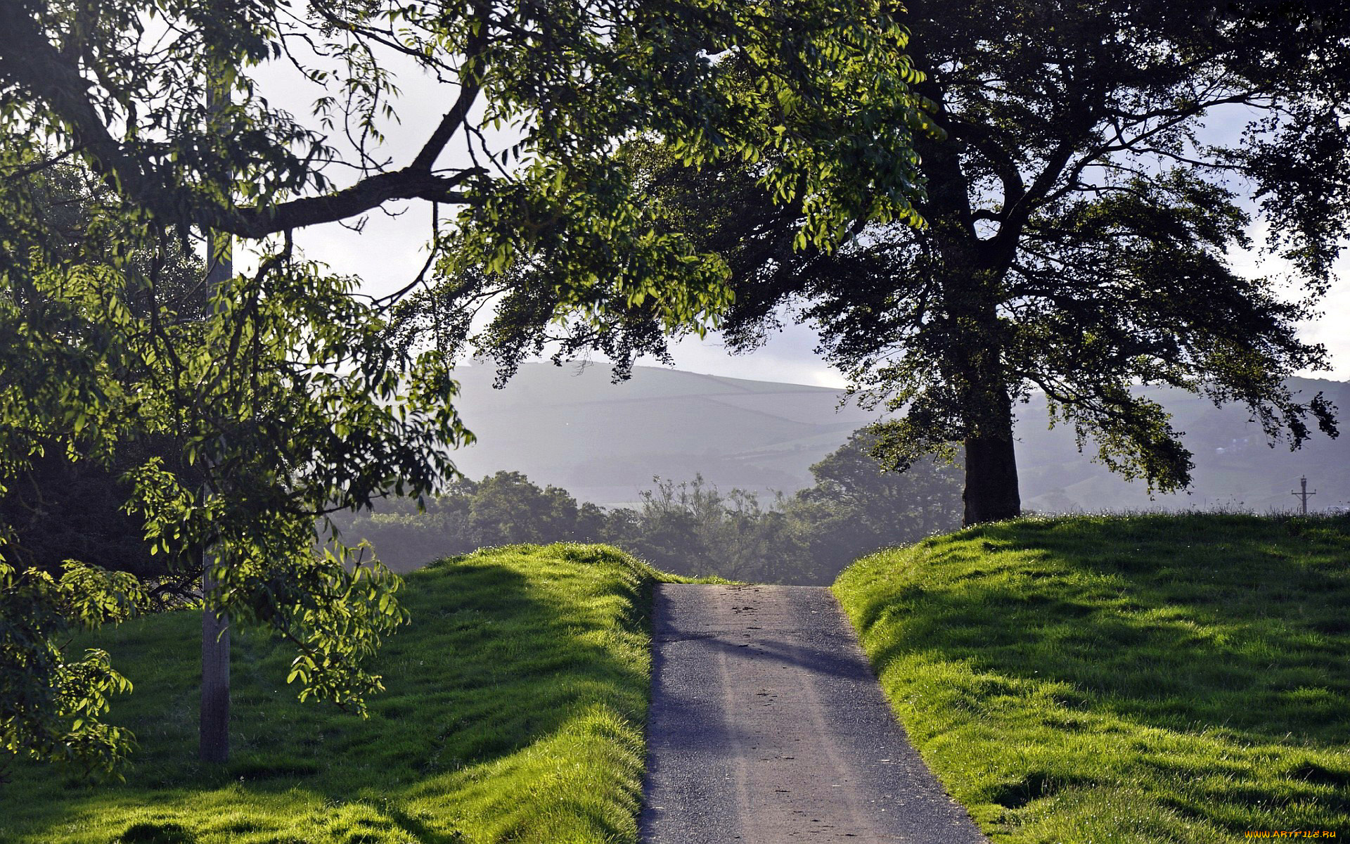 природа, дороги, деревья, трава, гора