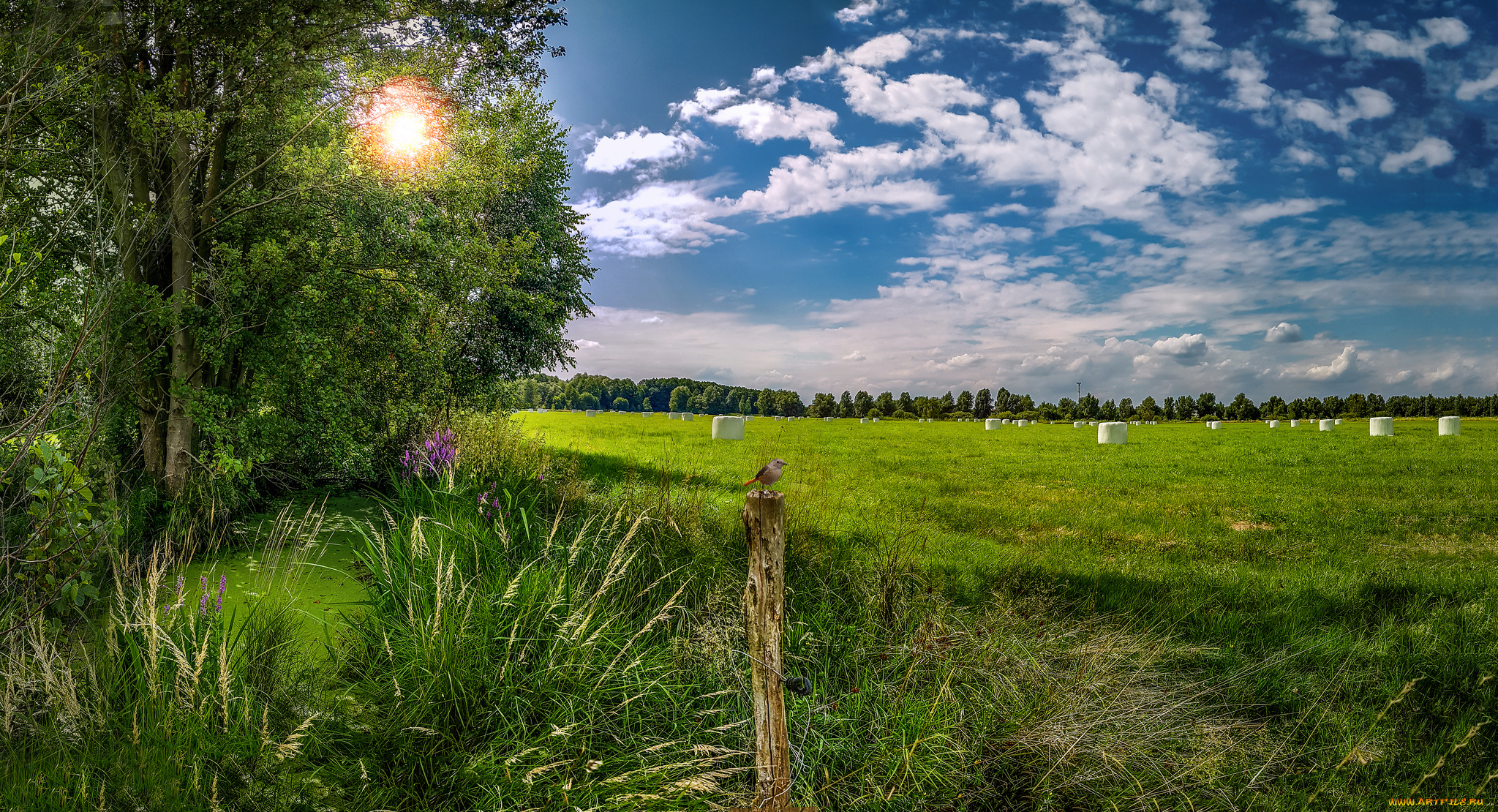 природа, пейзажи, простор