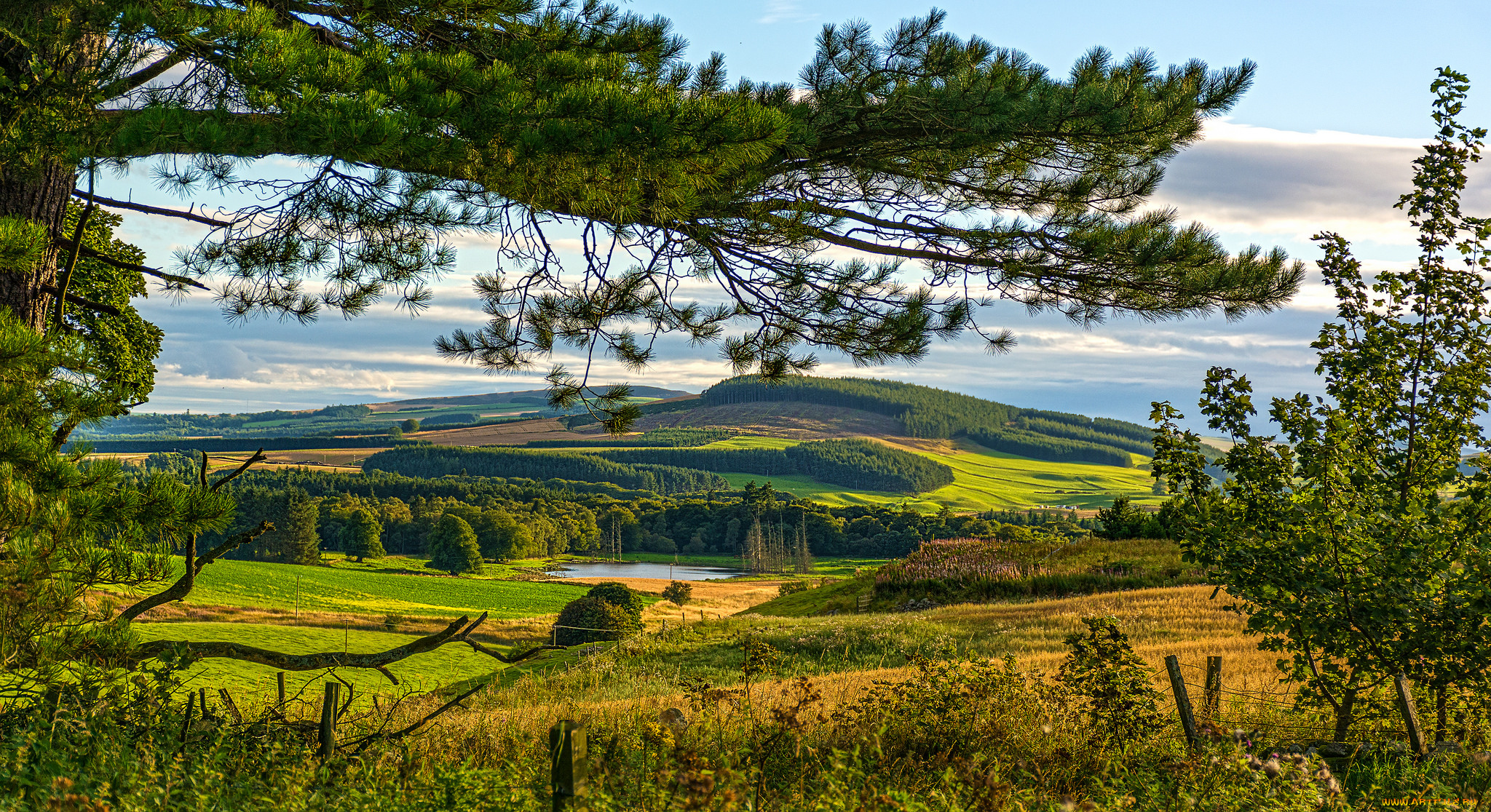 природа, пейзажи, простор