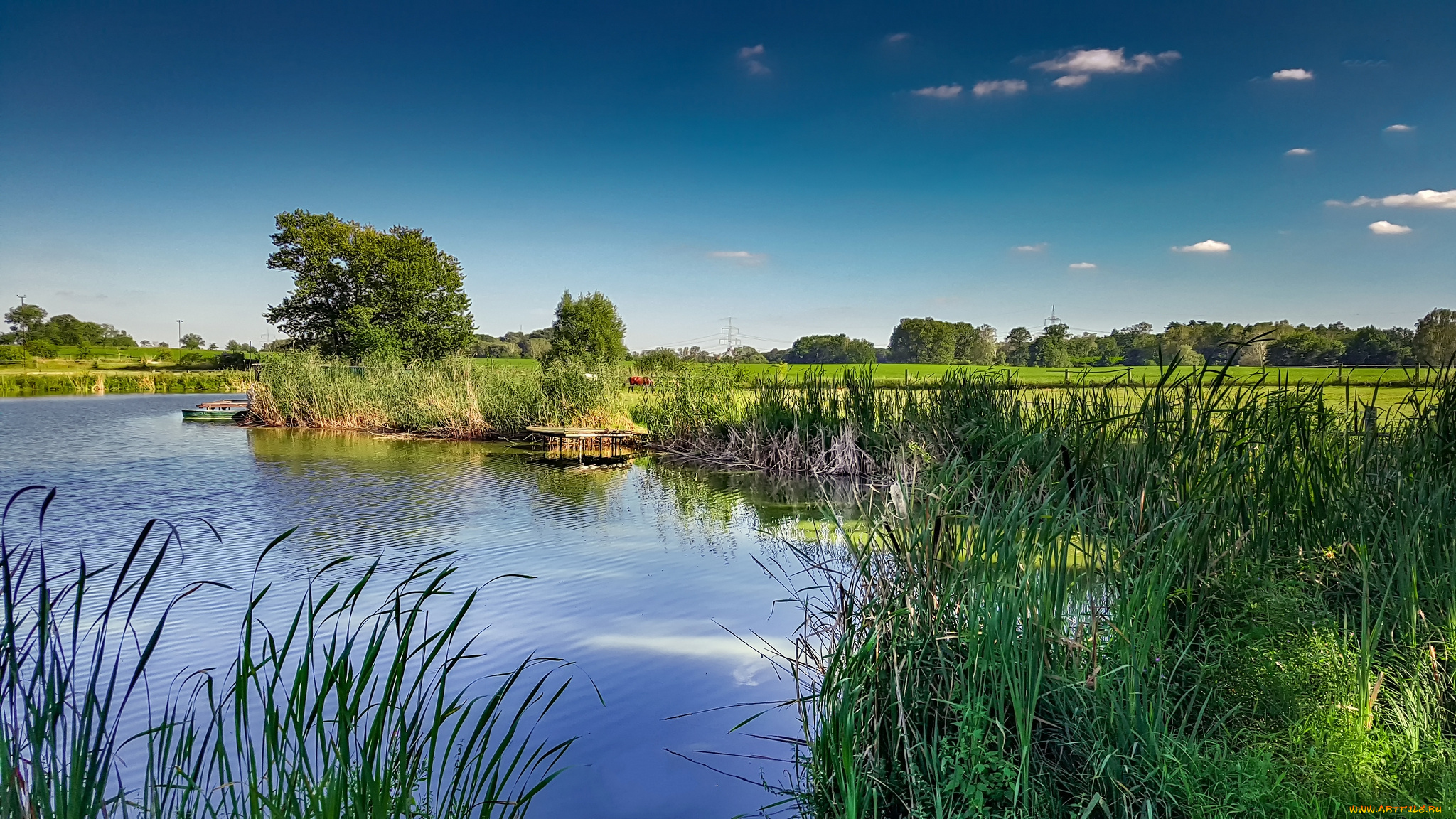 природа, реки, озера, лес, река