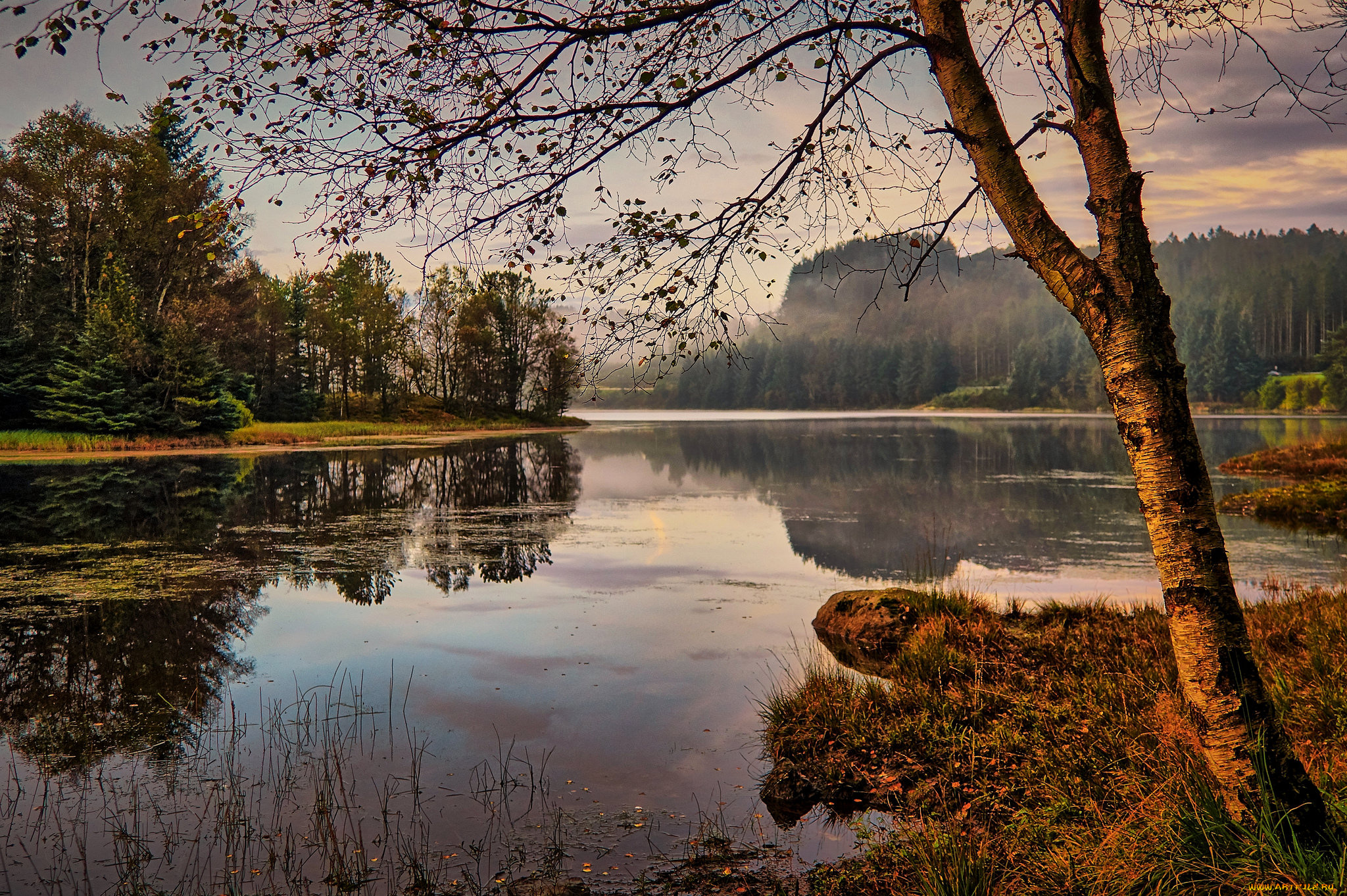 природа, реки, озера, лес, река