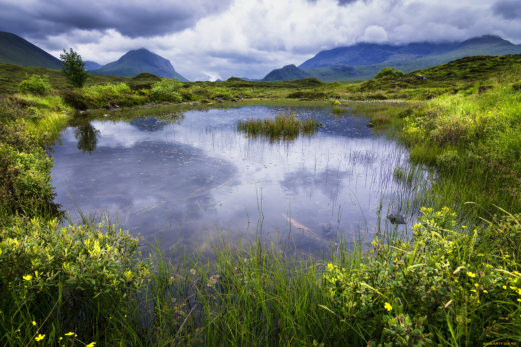 природа, реки, озера, река, лес
