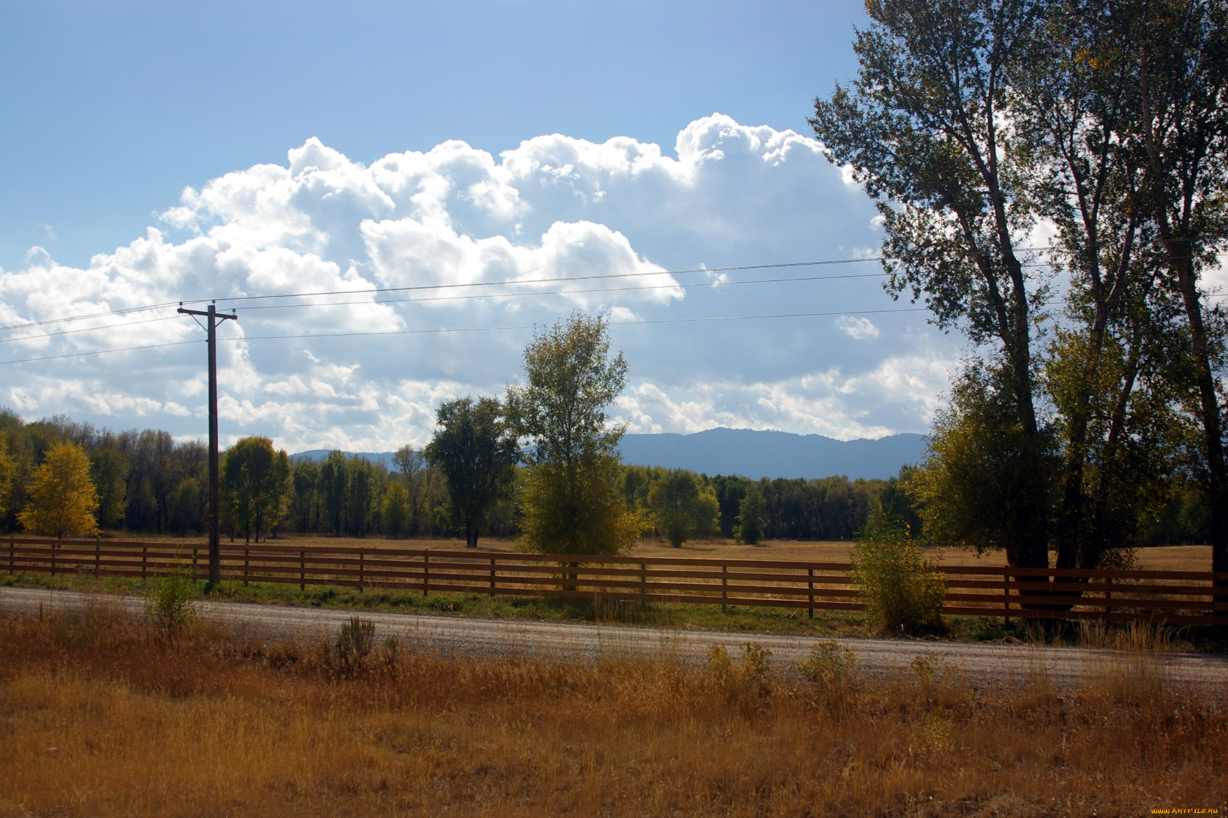природа, пейзажи, дорога, осень, деревья, изгородь