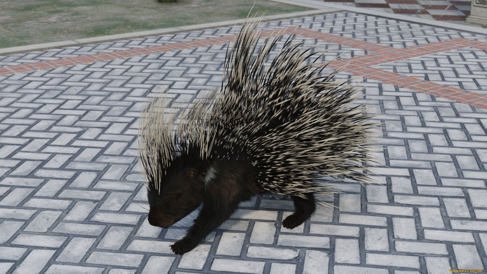 3д, графика, животные, , animals, country