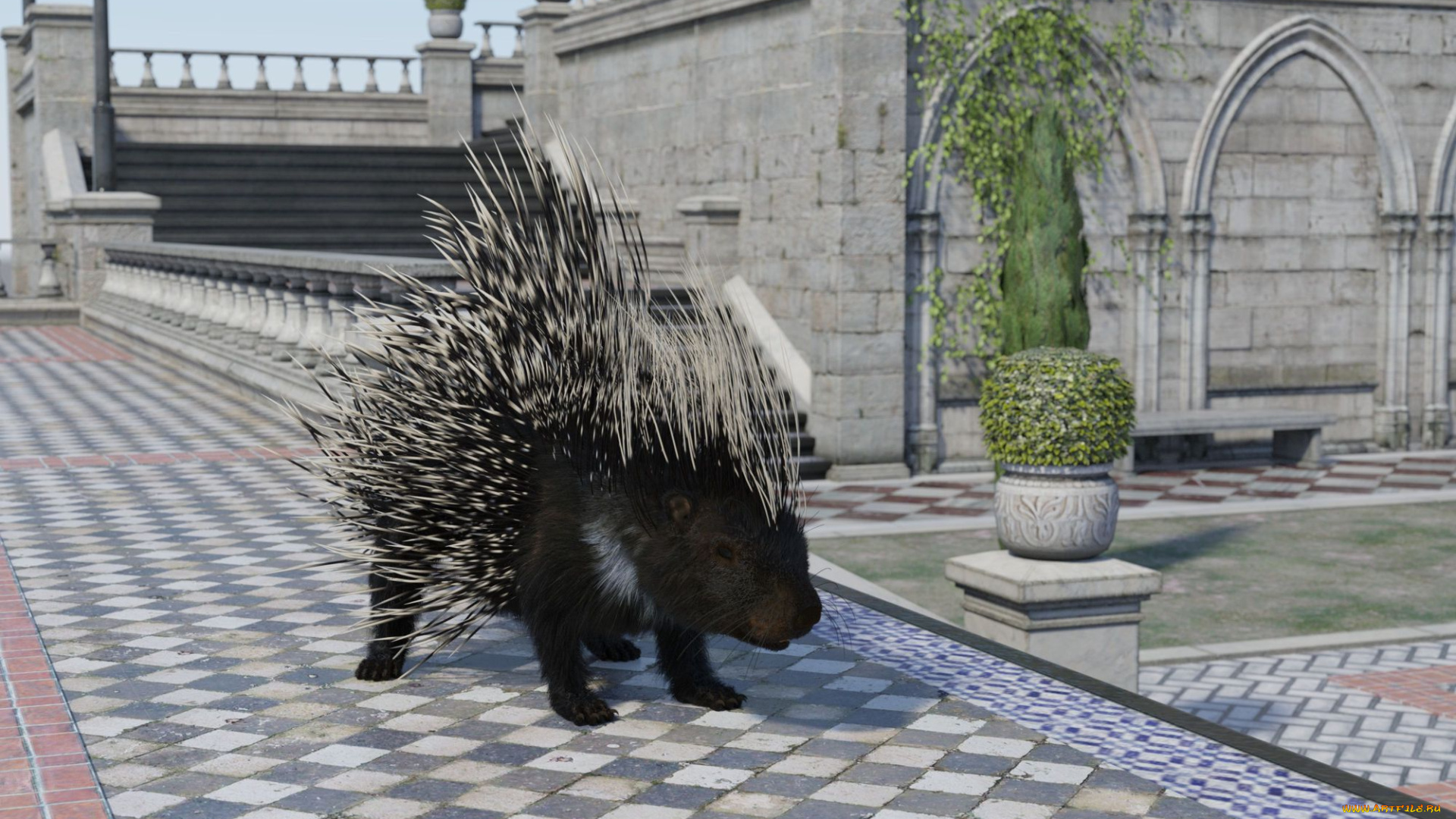 3д, графика, животные, , animals, country