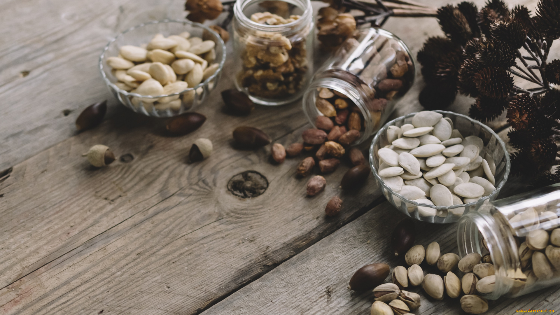 еда, орехи, , каштаны, , какао-бобы, семечки, тыквы, фисташки, орешки