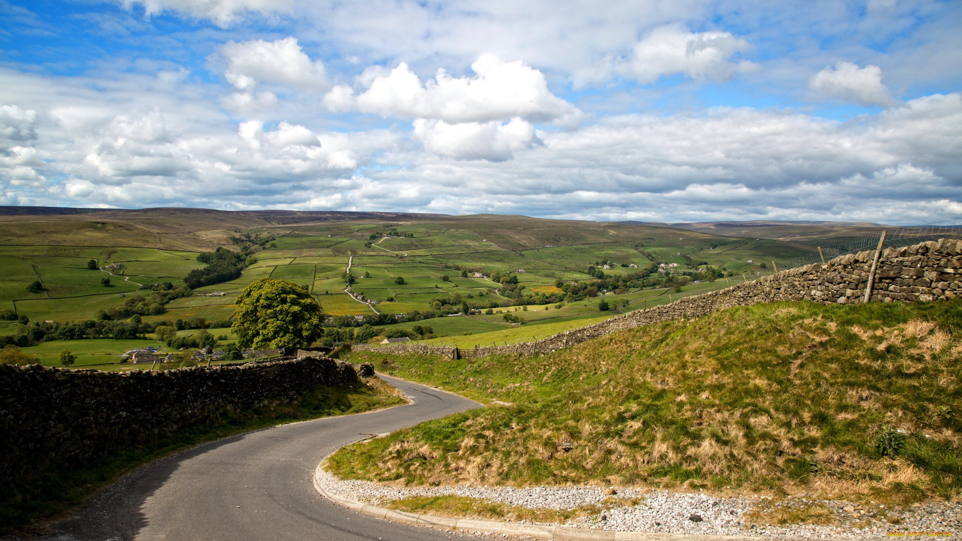 природа, дороги, поворот, шоссе