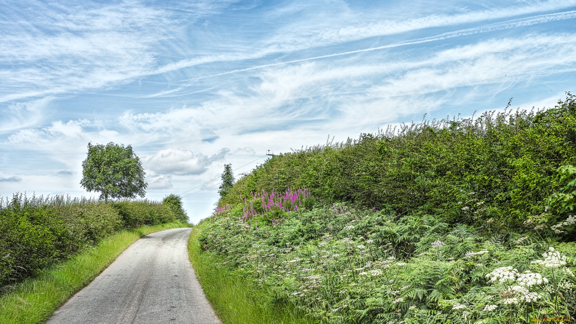 природа, дороги, простор