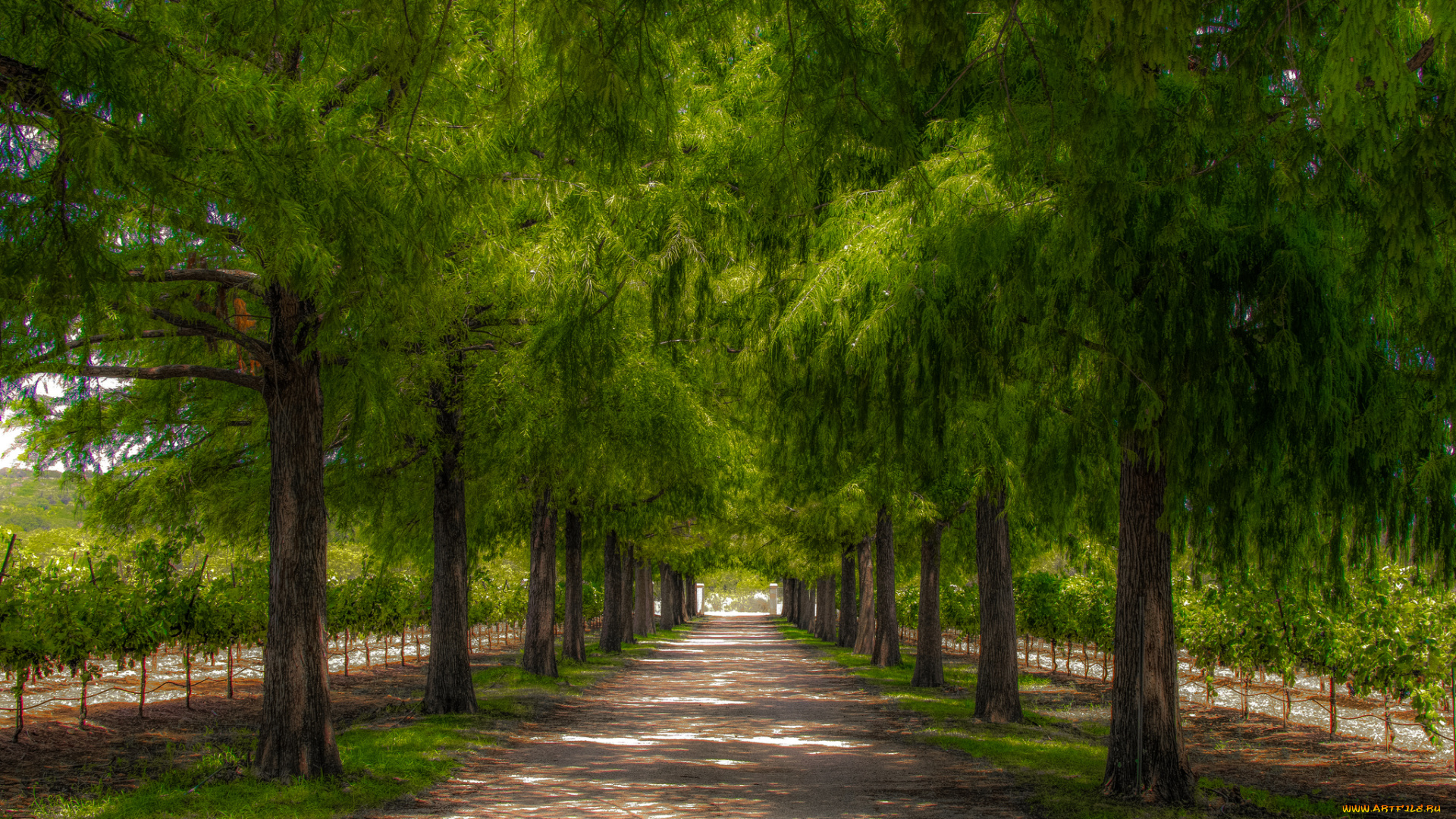 природа, дороги, простор