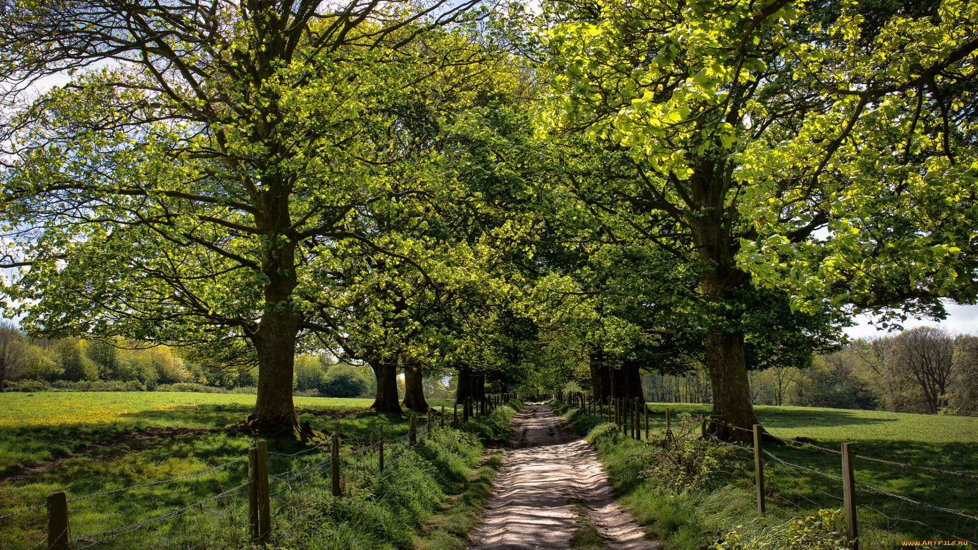 природа, дороги, простор