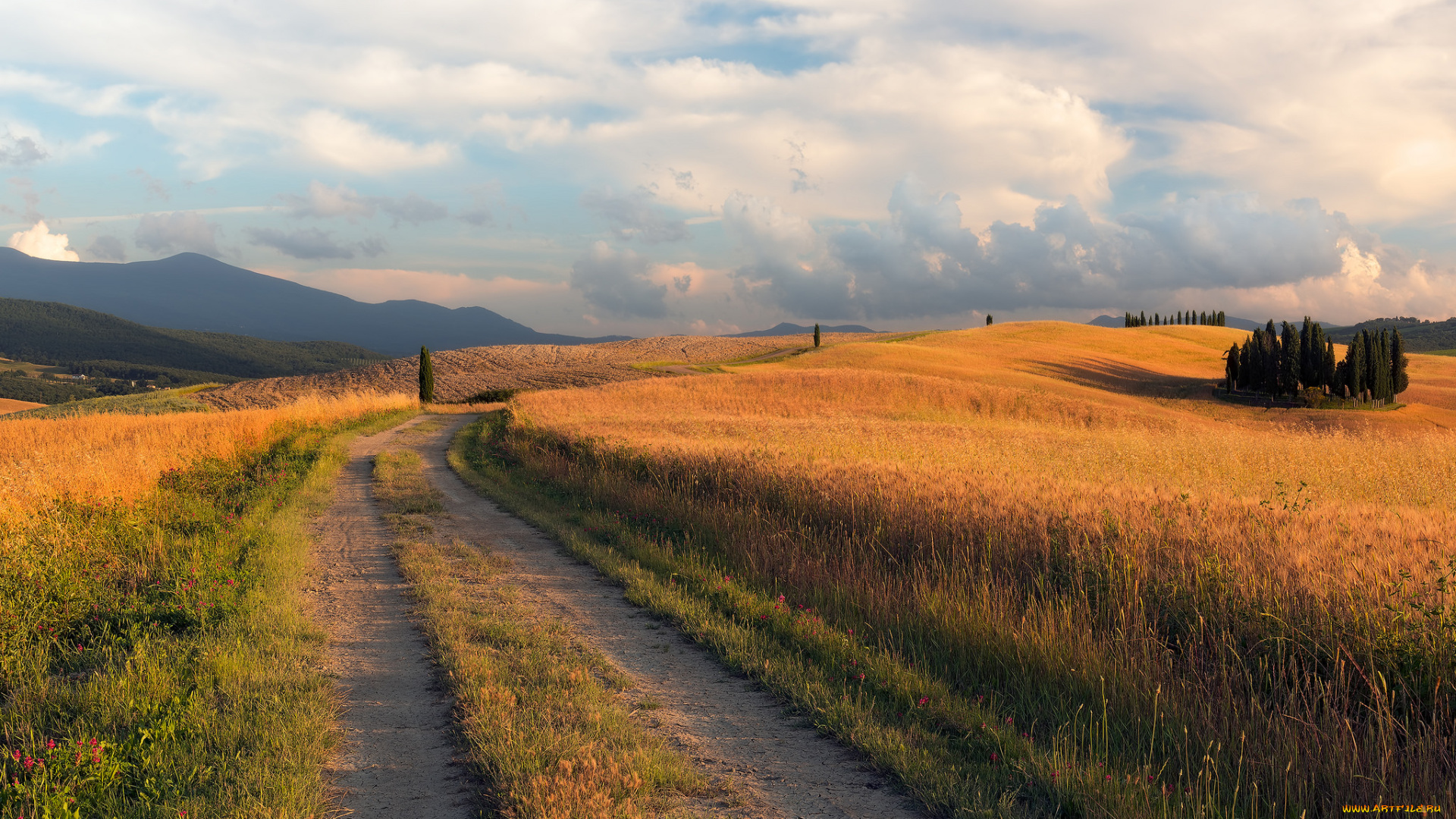 природа, дороги, простор