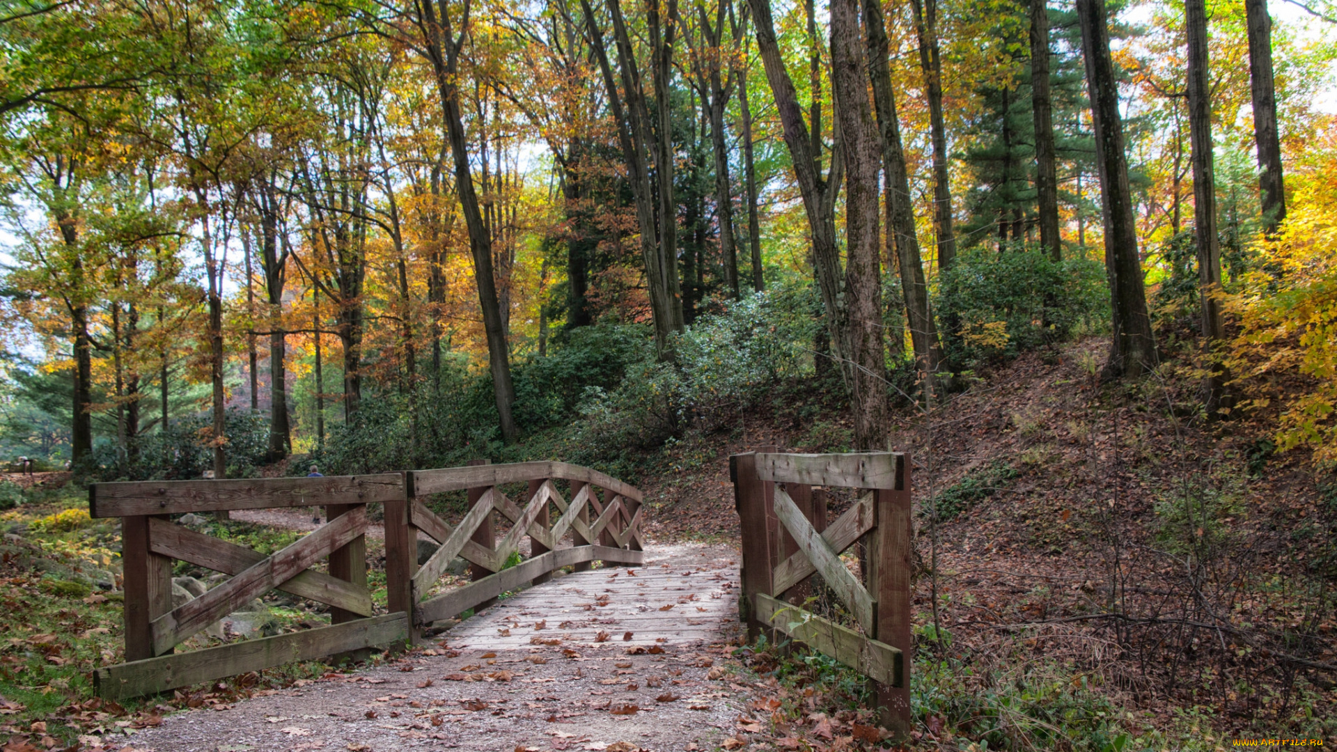 природа, дороги, простор