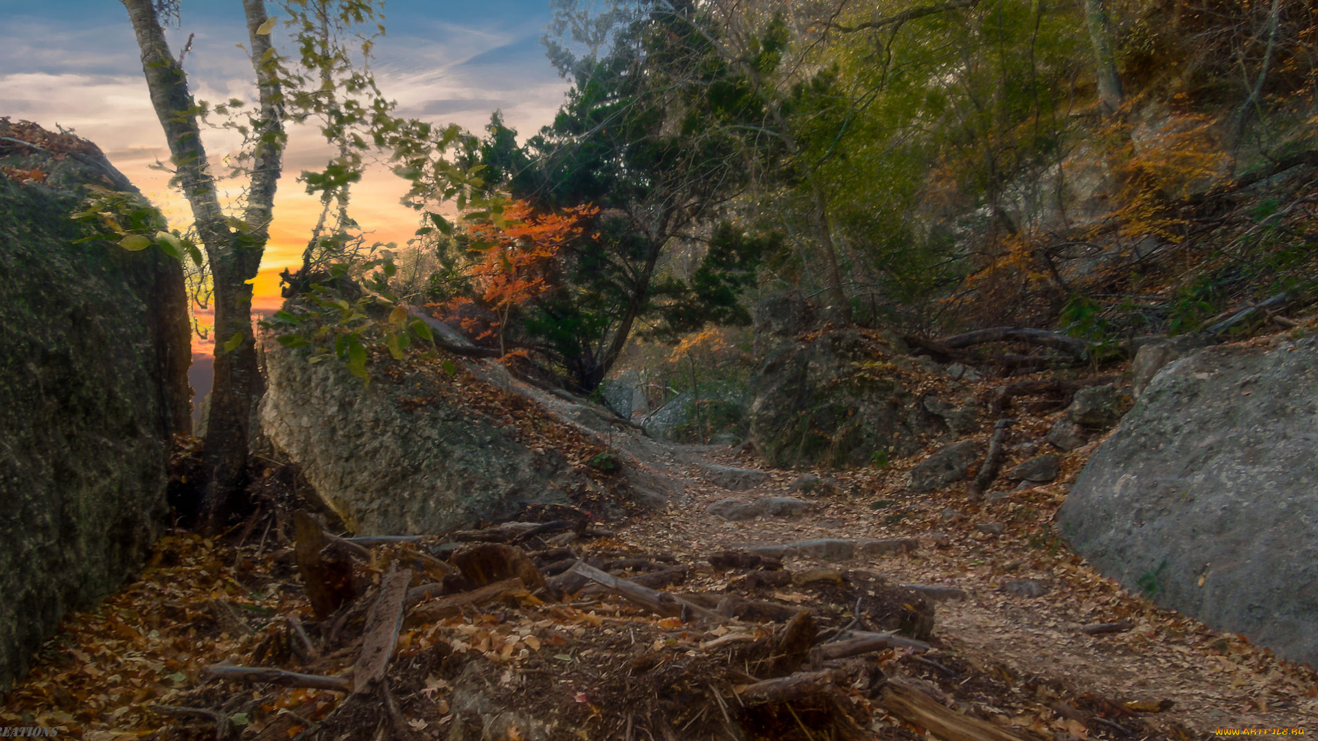 природа, дороги, простор