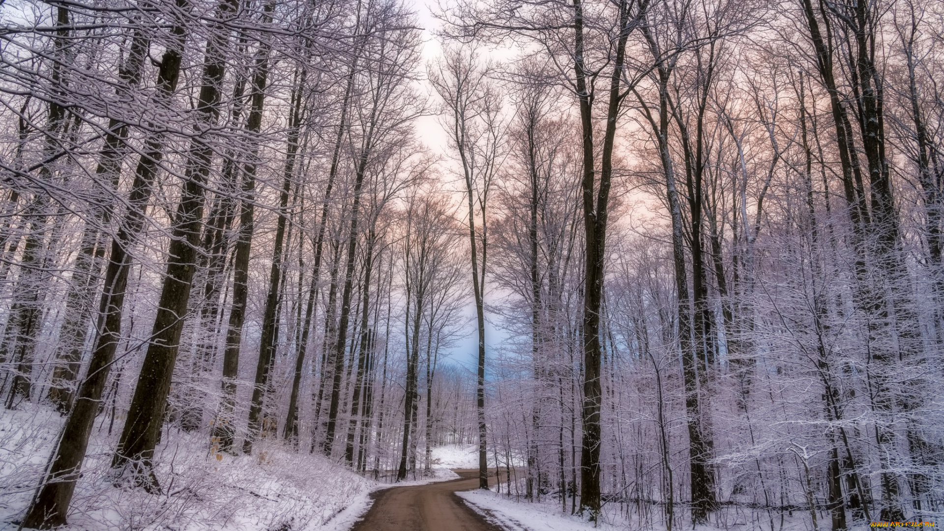 природа, дороги, простор