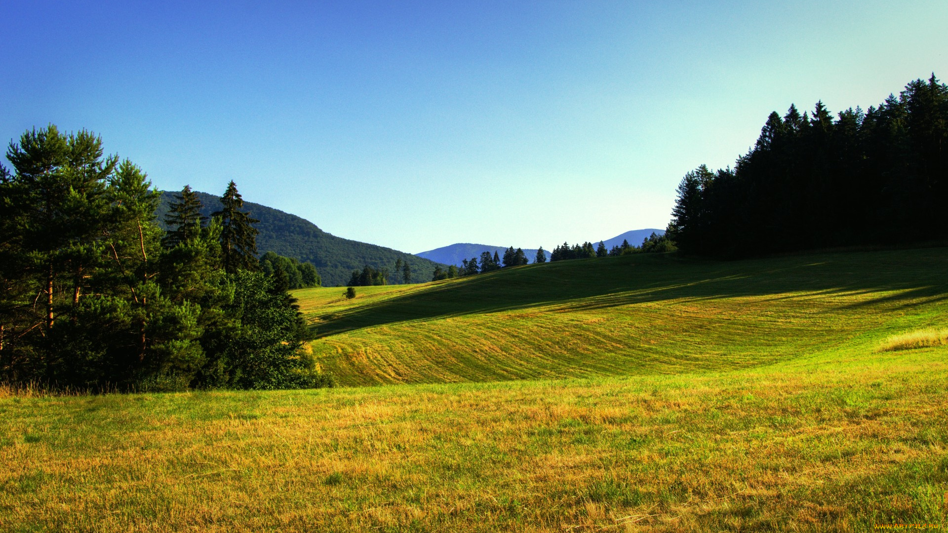 природа, луга, луг, горы