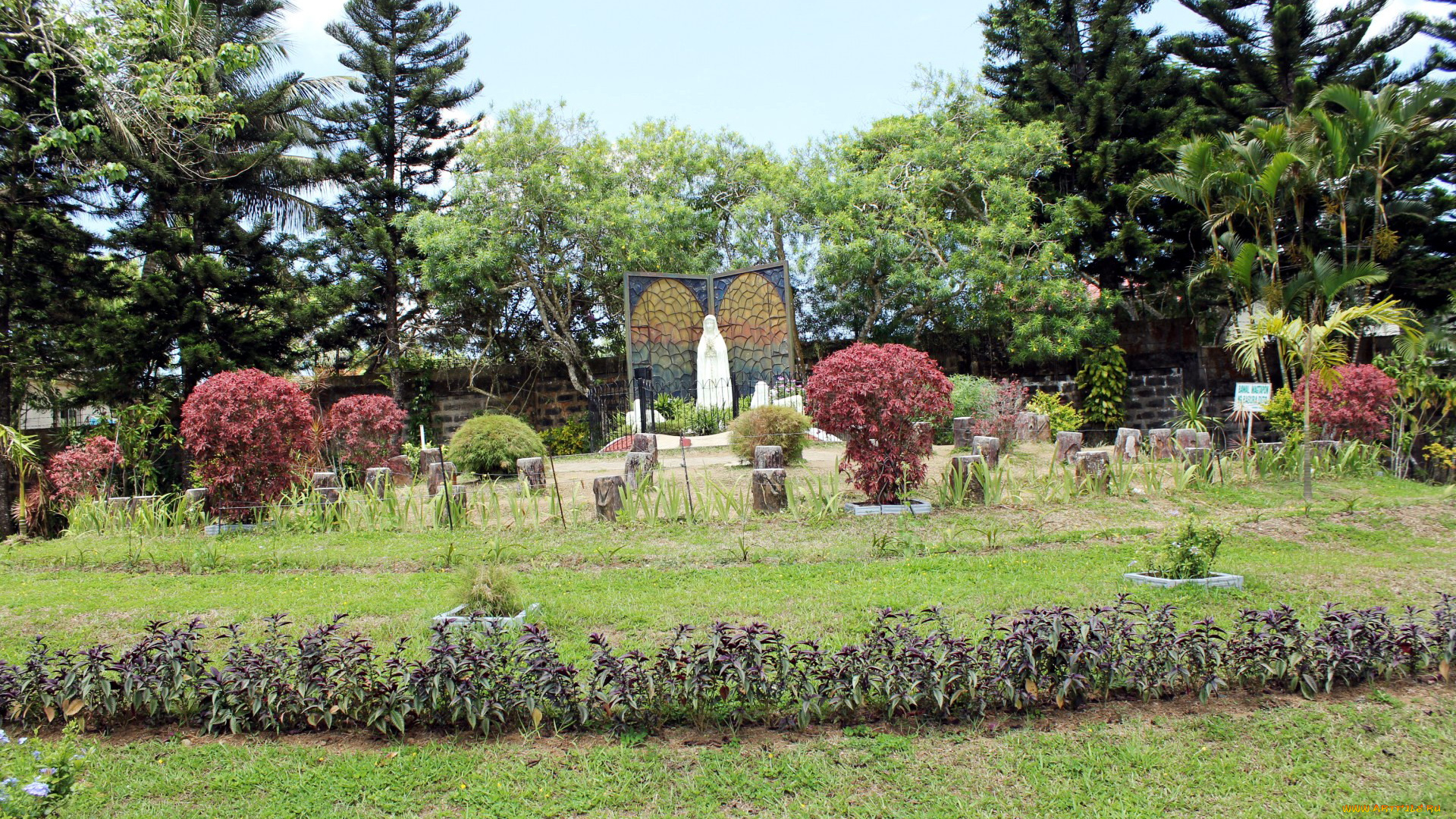 природа, парк, кусты, клумбы