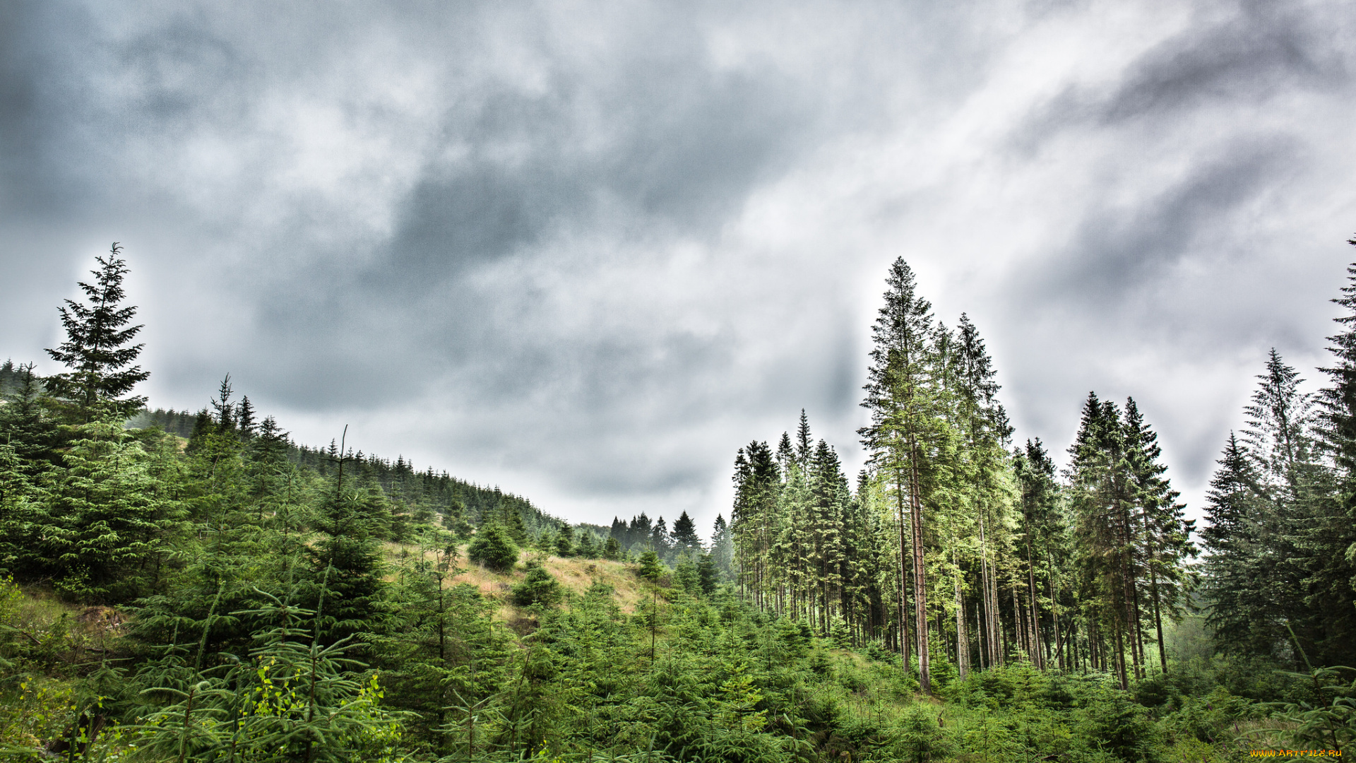 природа, пейзажи, простор