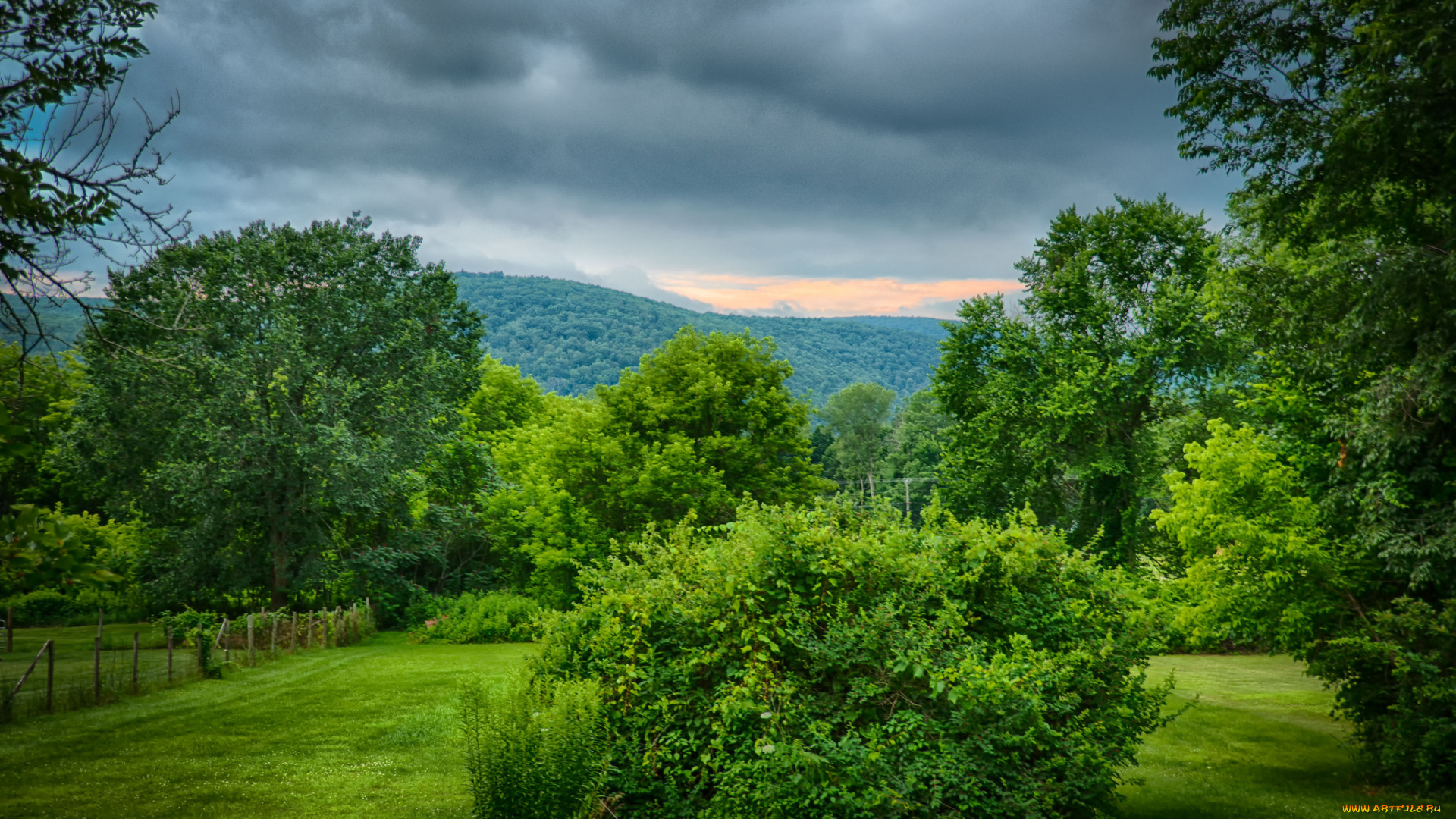 природа, пейзажи, простор