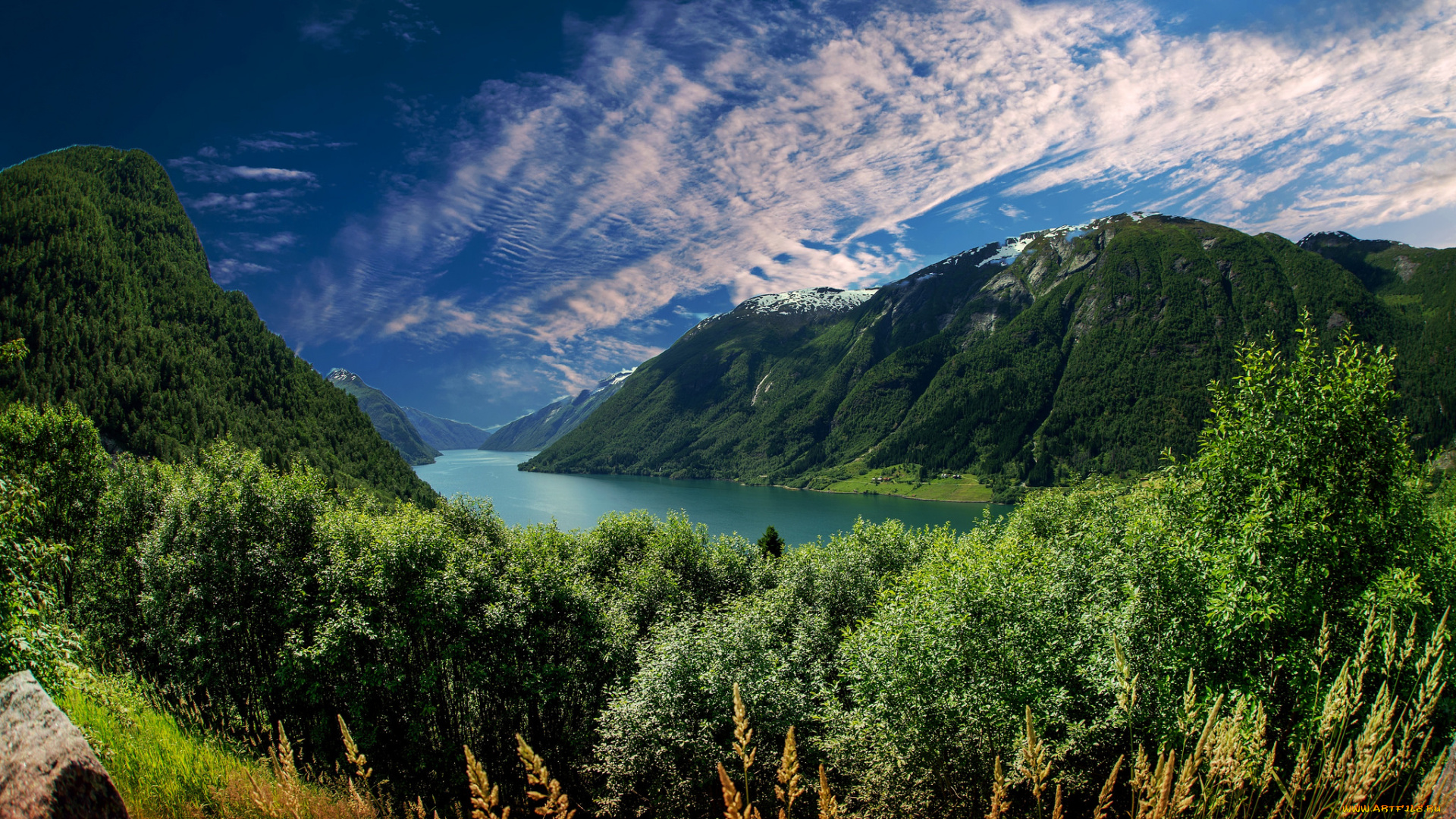 природа, пейзажи, простор