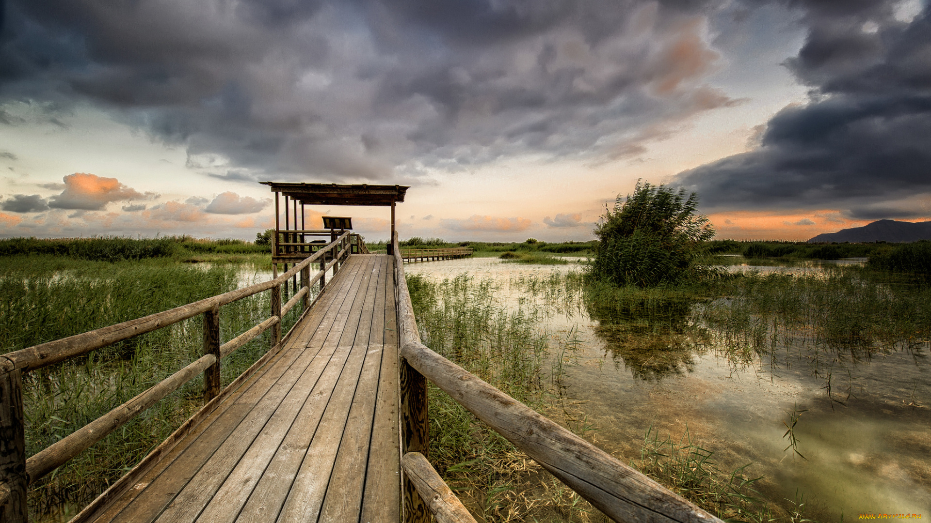 природа, реки, озера, простор